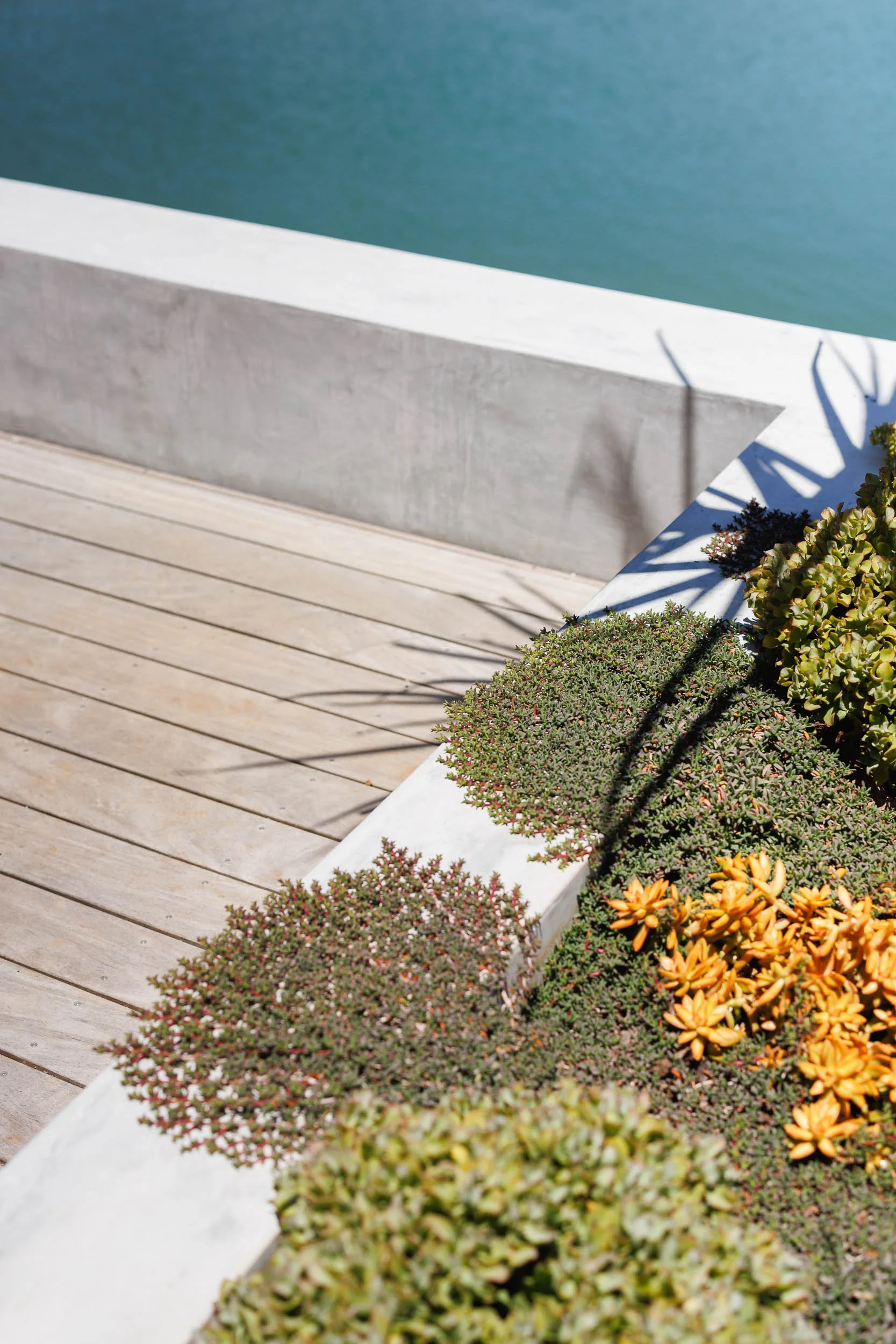 Timber deck detail with concrete edging, succulent groundcover, and turquoise canal water in background