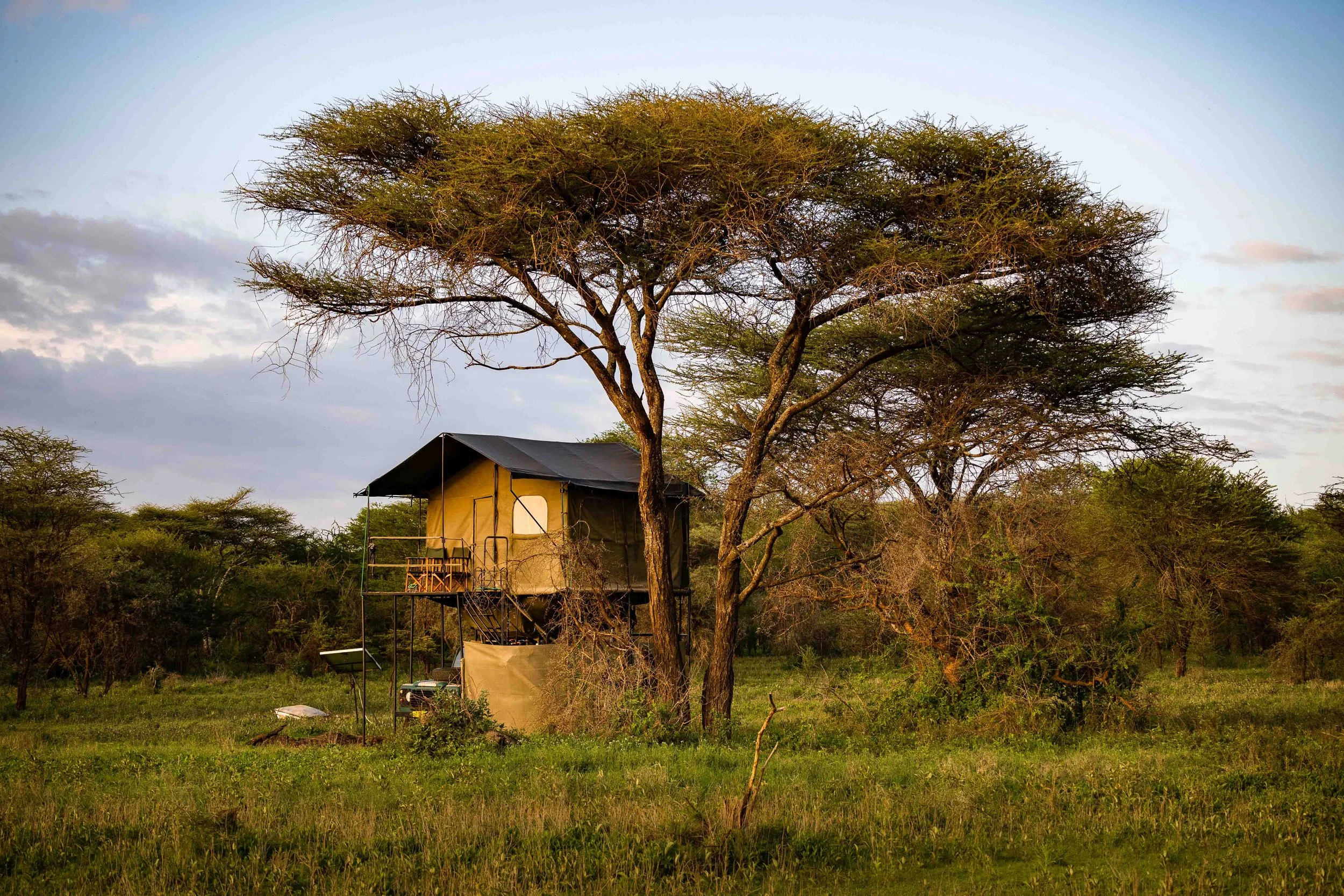 Treehouse built on stilts in a natural landscape with sparse trees and grass, under a cloudy sky.