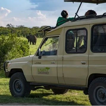 Ol Pejeta pictures & video