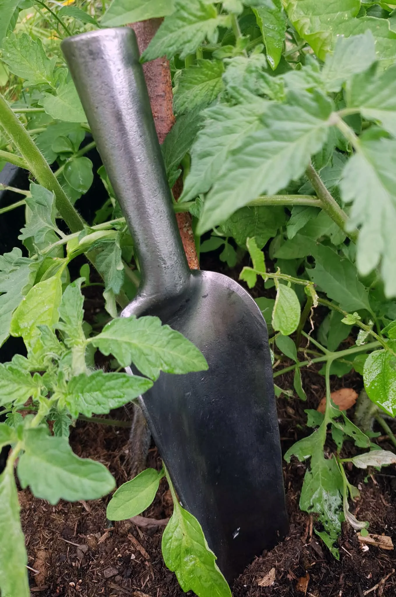 Tough Trowel