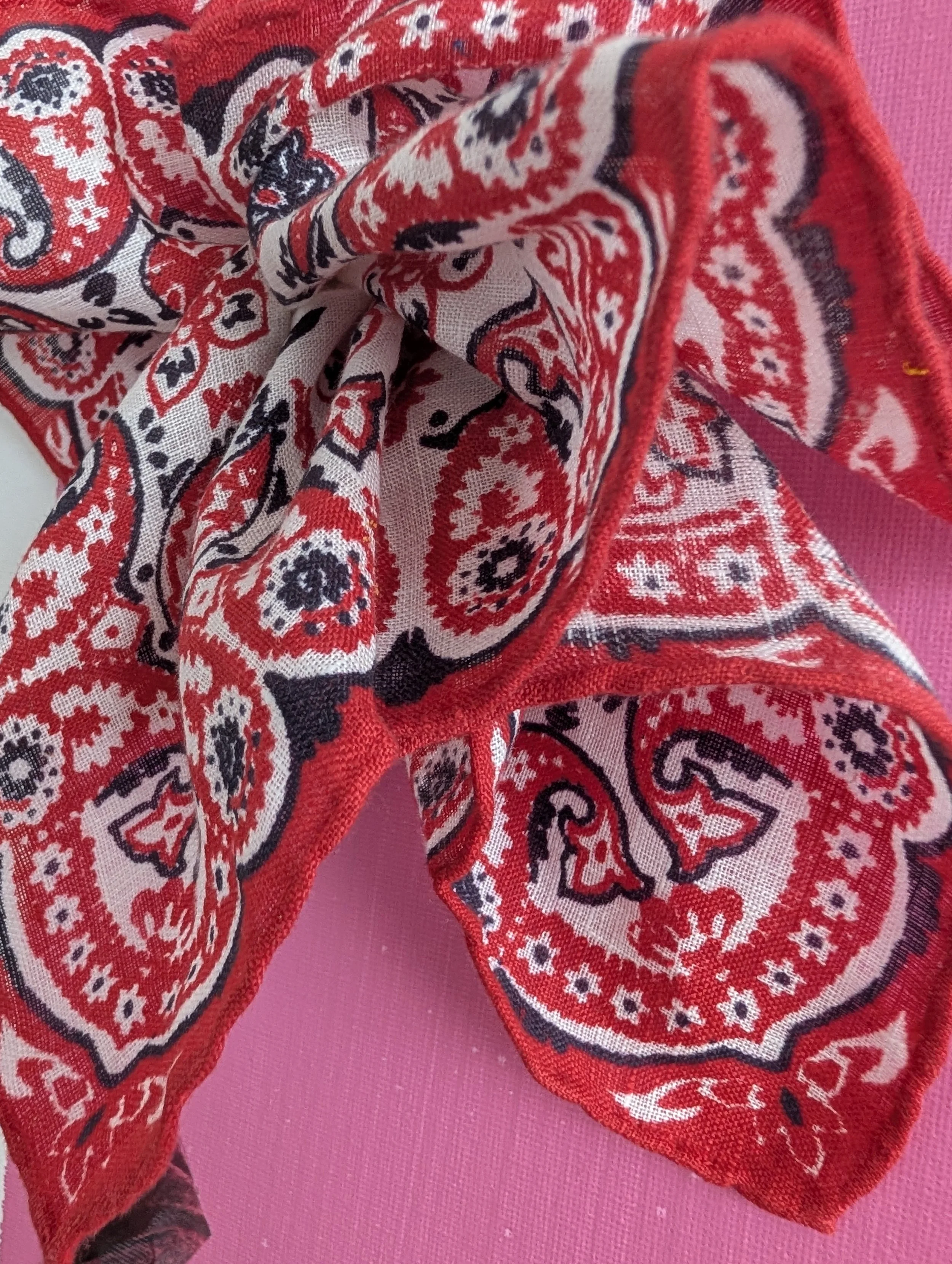 PXL_20260730_120716503.jpg