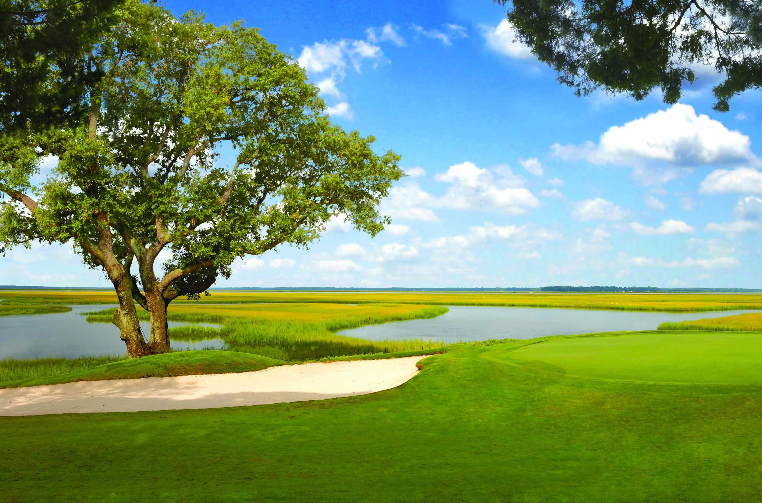 aiprst-omni-amelia-island-resort-oak-marsh-hole-16.jpg