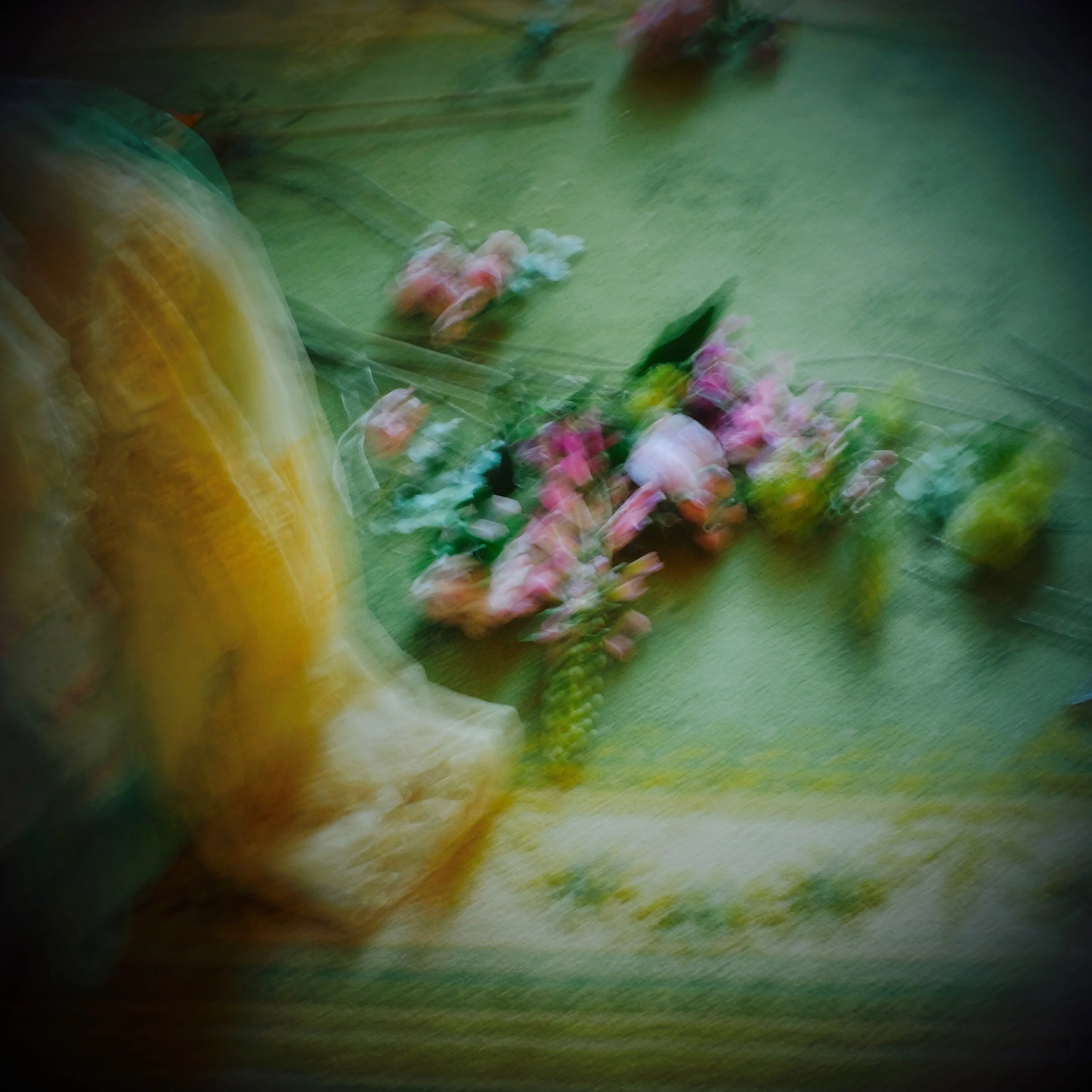 where flowers dream - photographic print on vellum trace 101 x 101 cm, solo exhibition at Fragonard Musee de la Peinture, Grasse, France