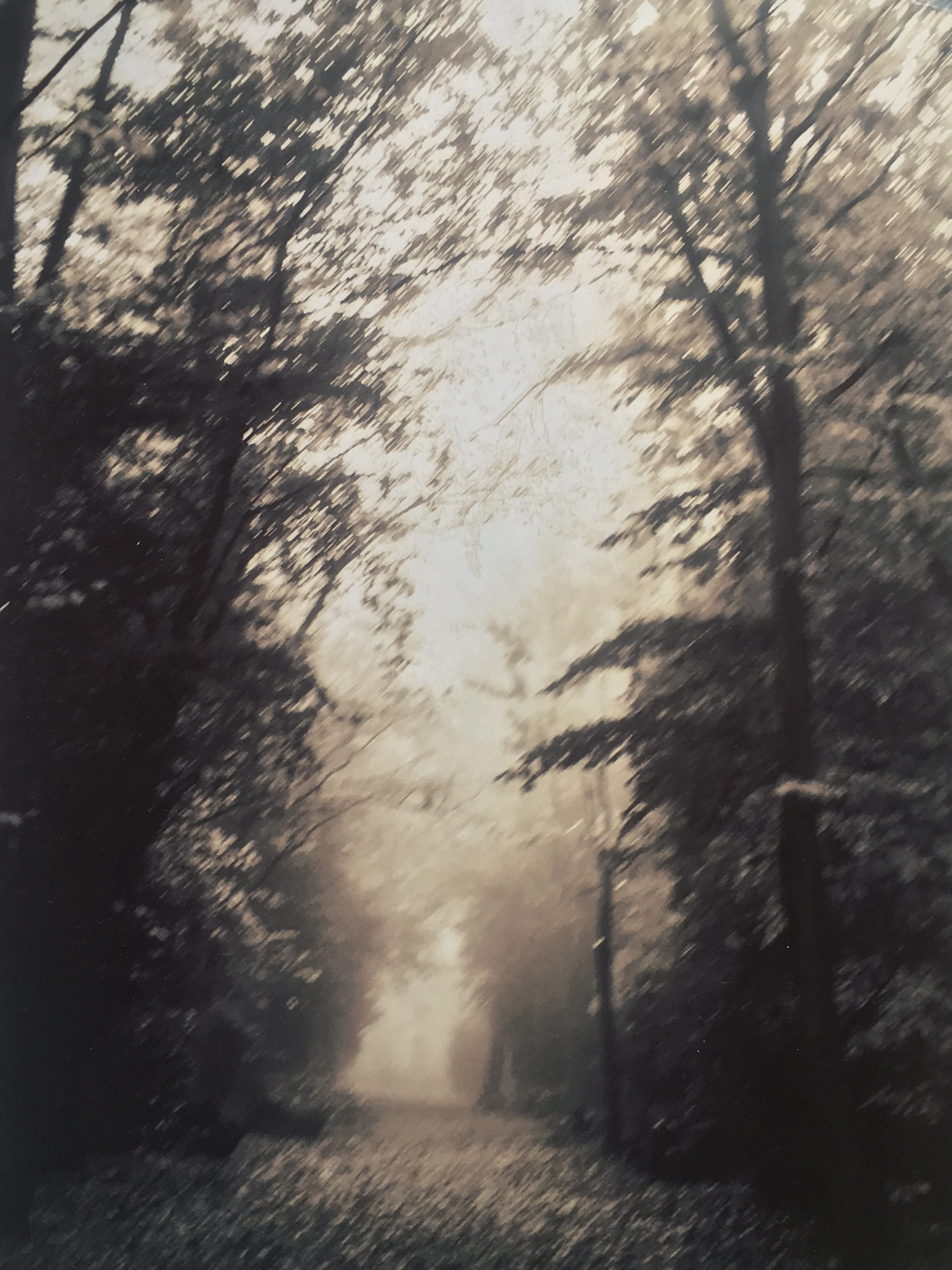 'Running' - photographic print on vellum trace 1, "Where Flowers Dream", solo exhibition at Fragonard Musee de la  Peinture, Grasse, France 