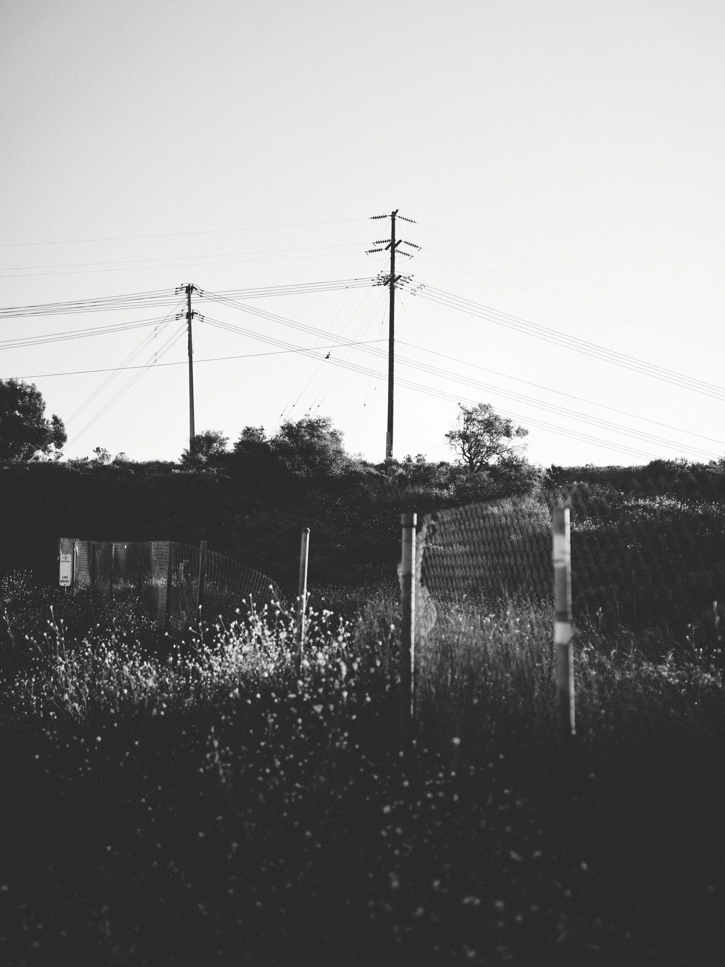 _DSC0122HIGHRES.jpg