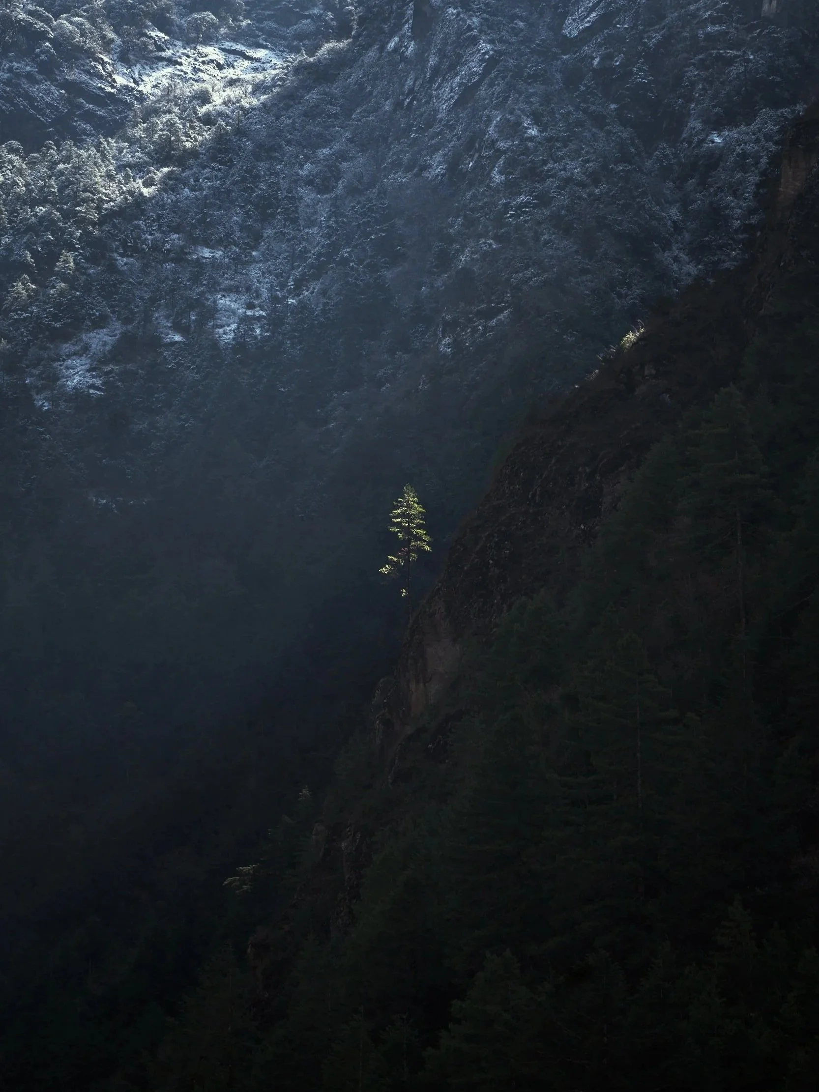 _DSC9069.jpg