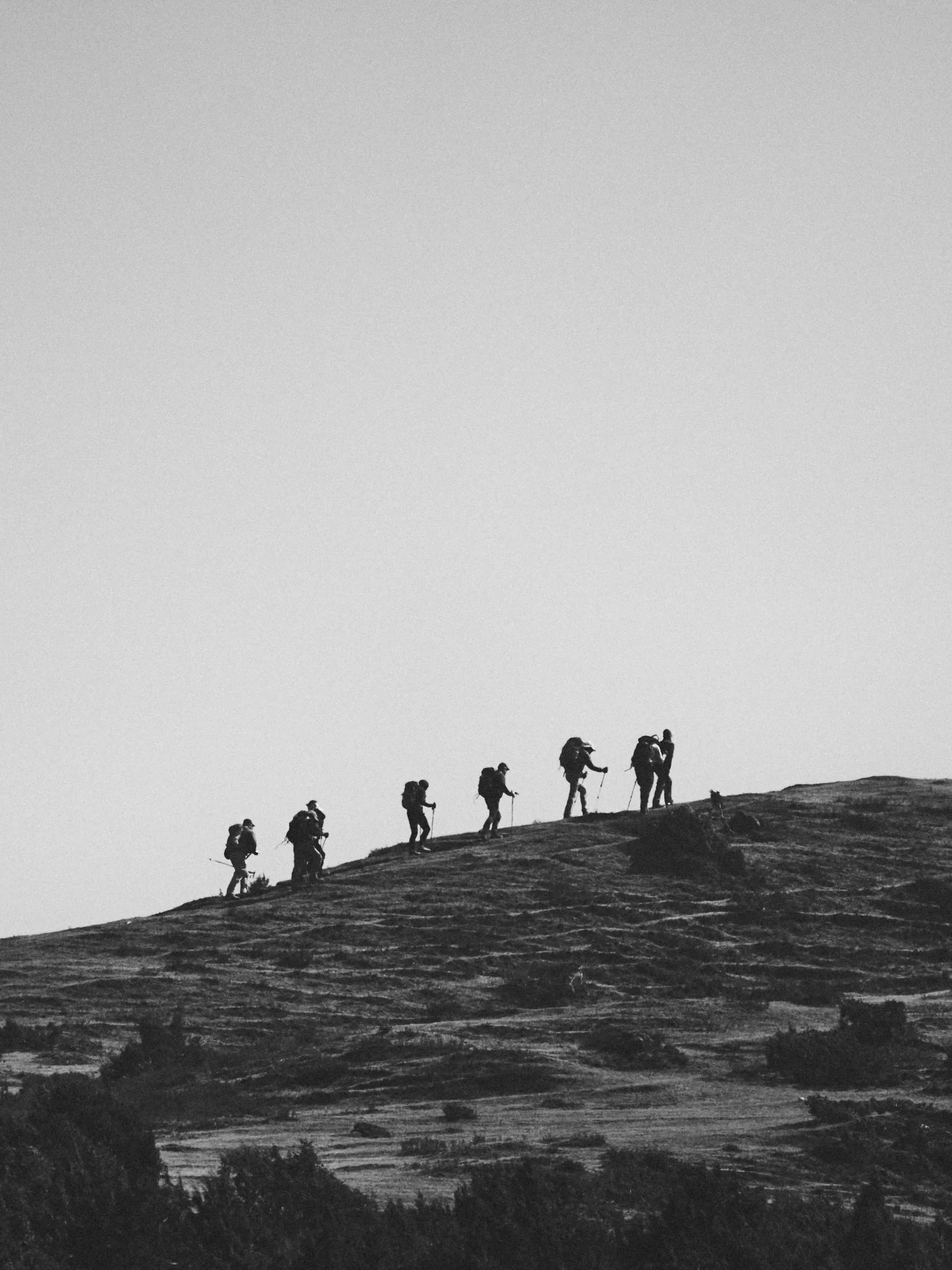 _DSC9785.jpg
