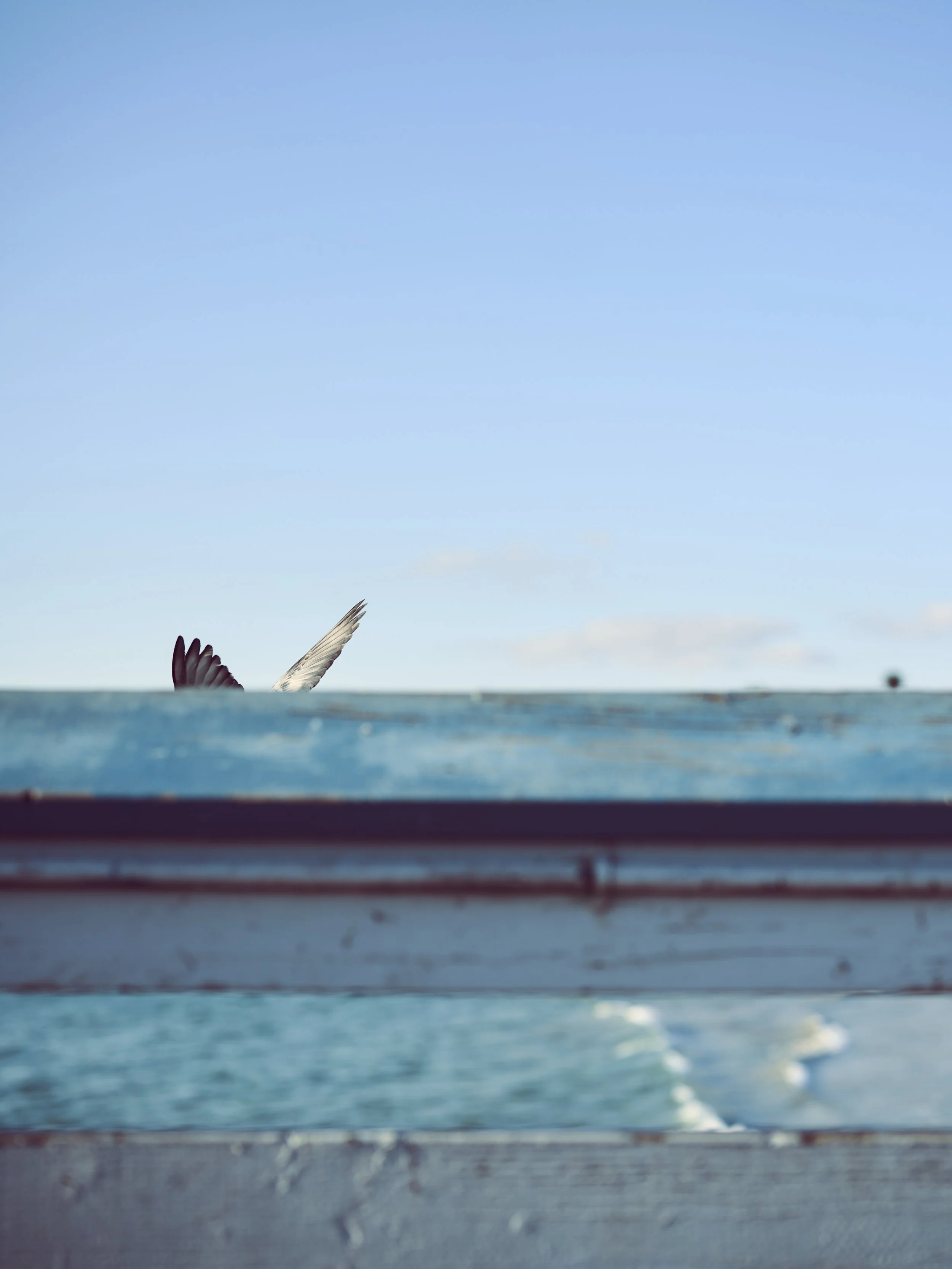 _DSC0145HIGH_RES20.jpg