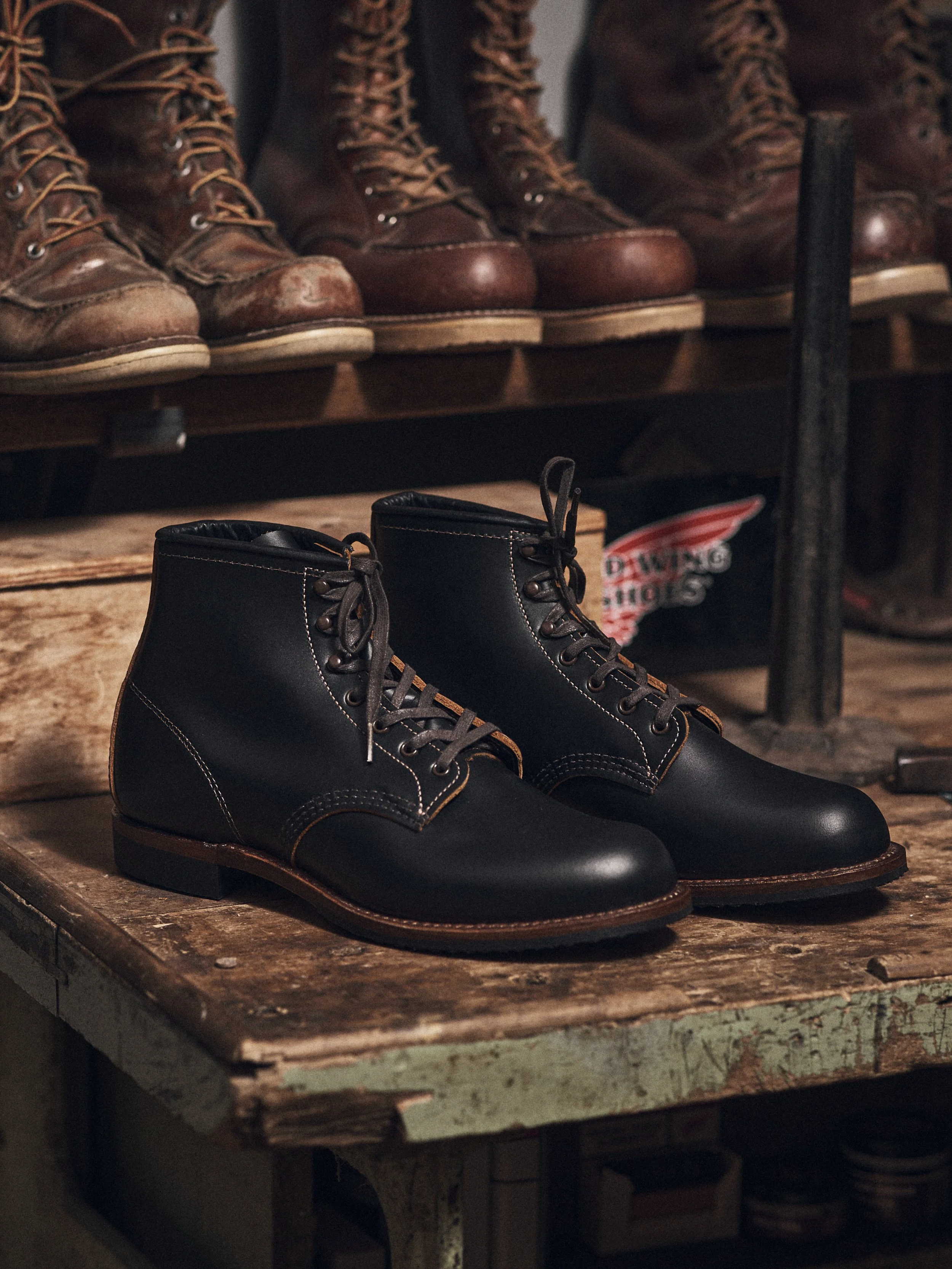 30_10_2023_Redwing1117.jpg