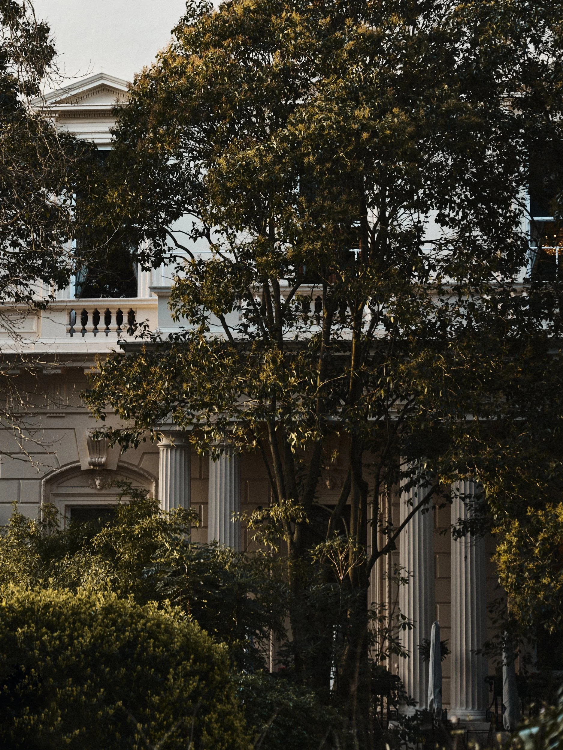A large house partially obscured by trees with green leaves. The house features classical architectural elements such as columns and detailed trim work. The building appears to be residential and situated in a lush, landscaped area.
