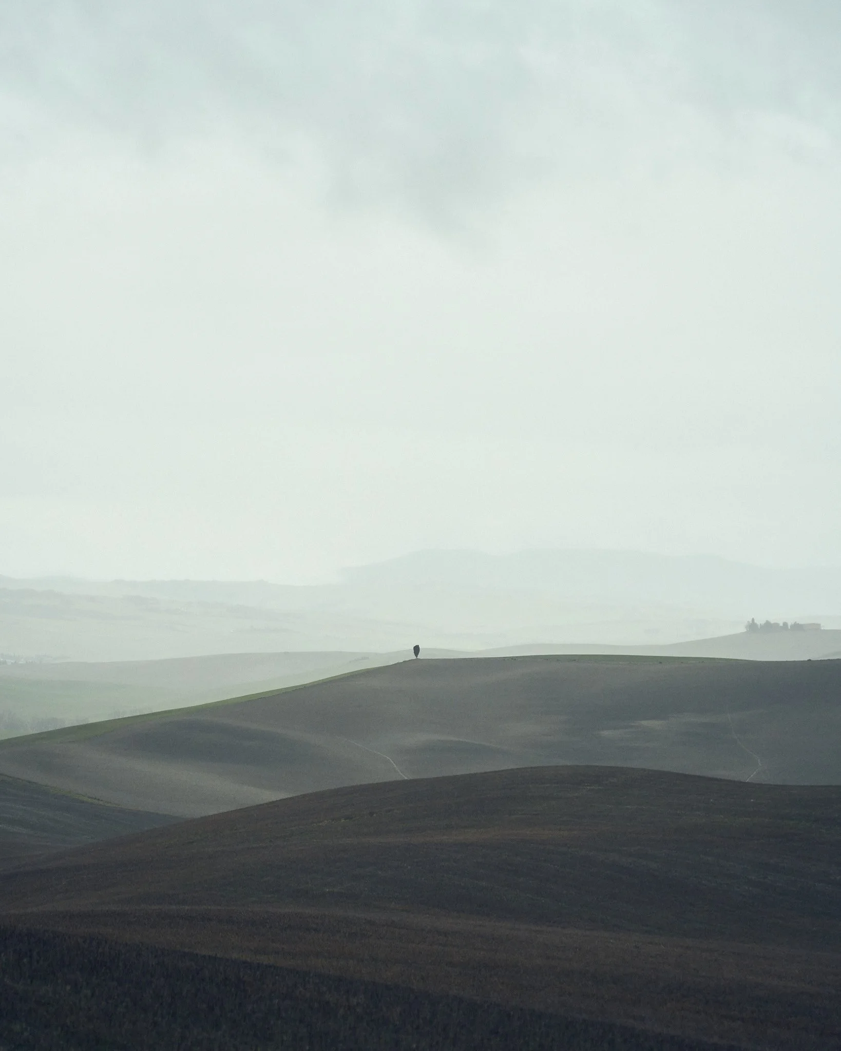 _DSC8582.jpg