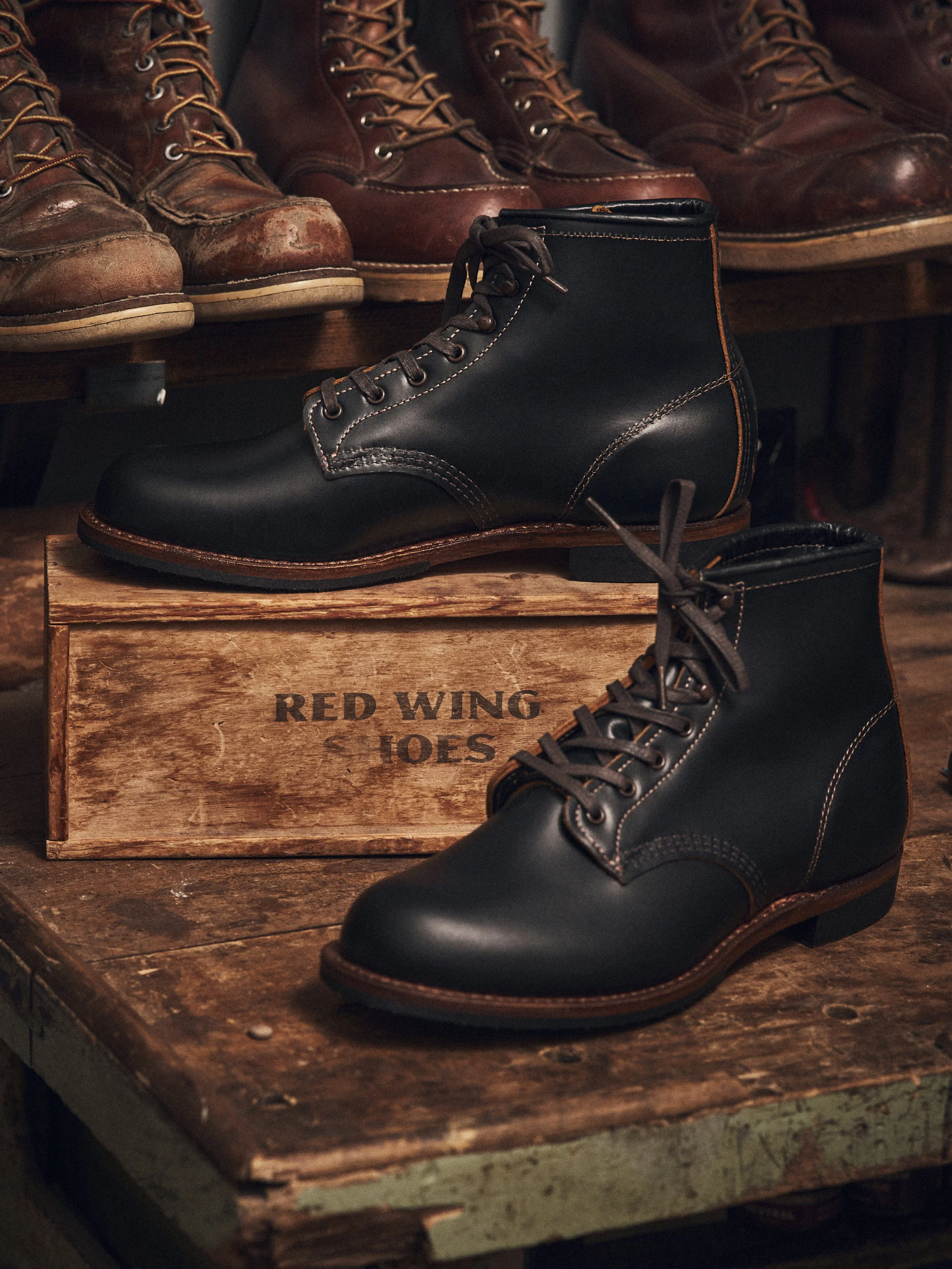30_10_2023_Redwing1135.jpg