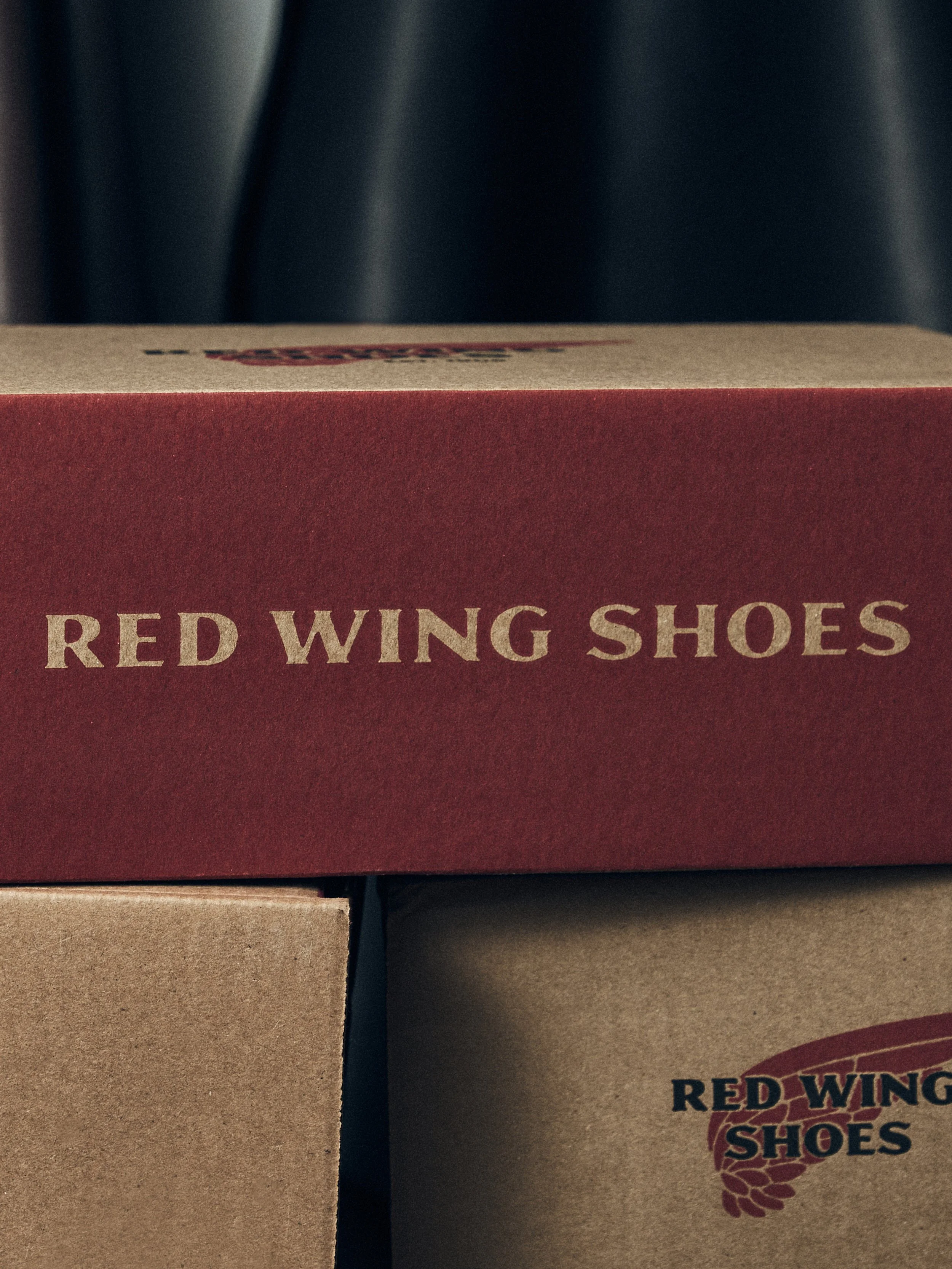 30_10_2023_Redwing4647 1.jpg