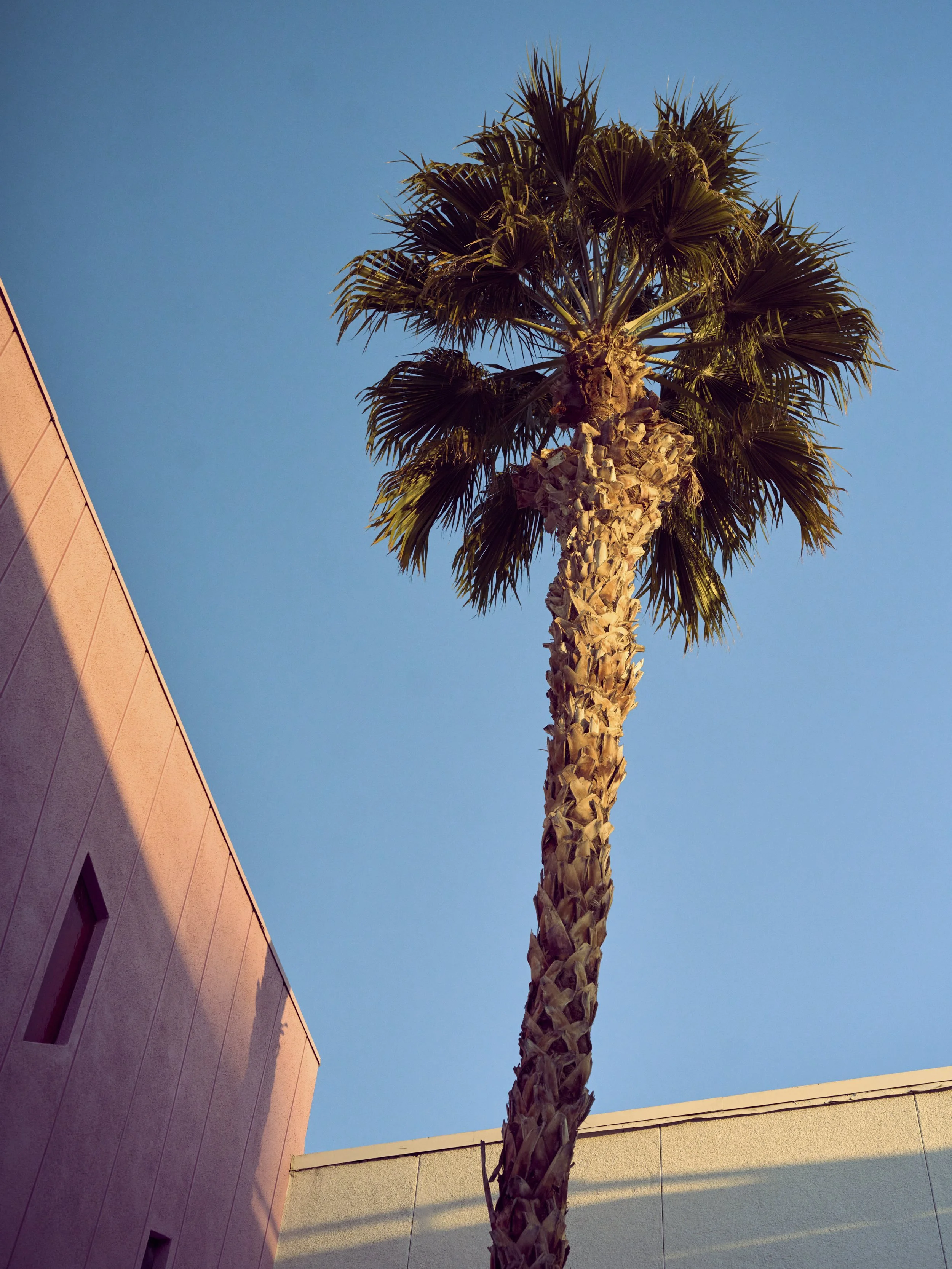 _DSC0523HIGH_RES68.jpg