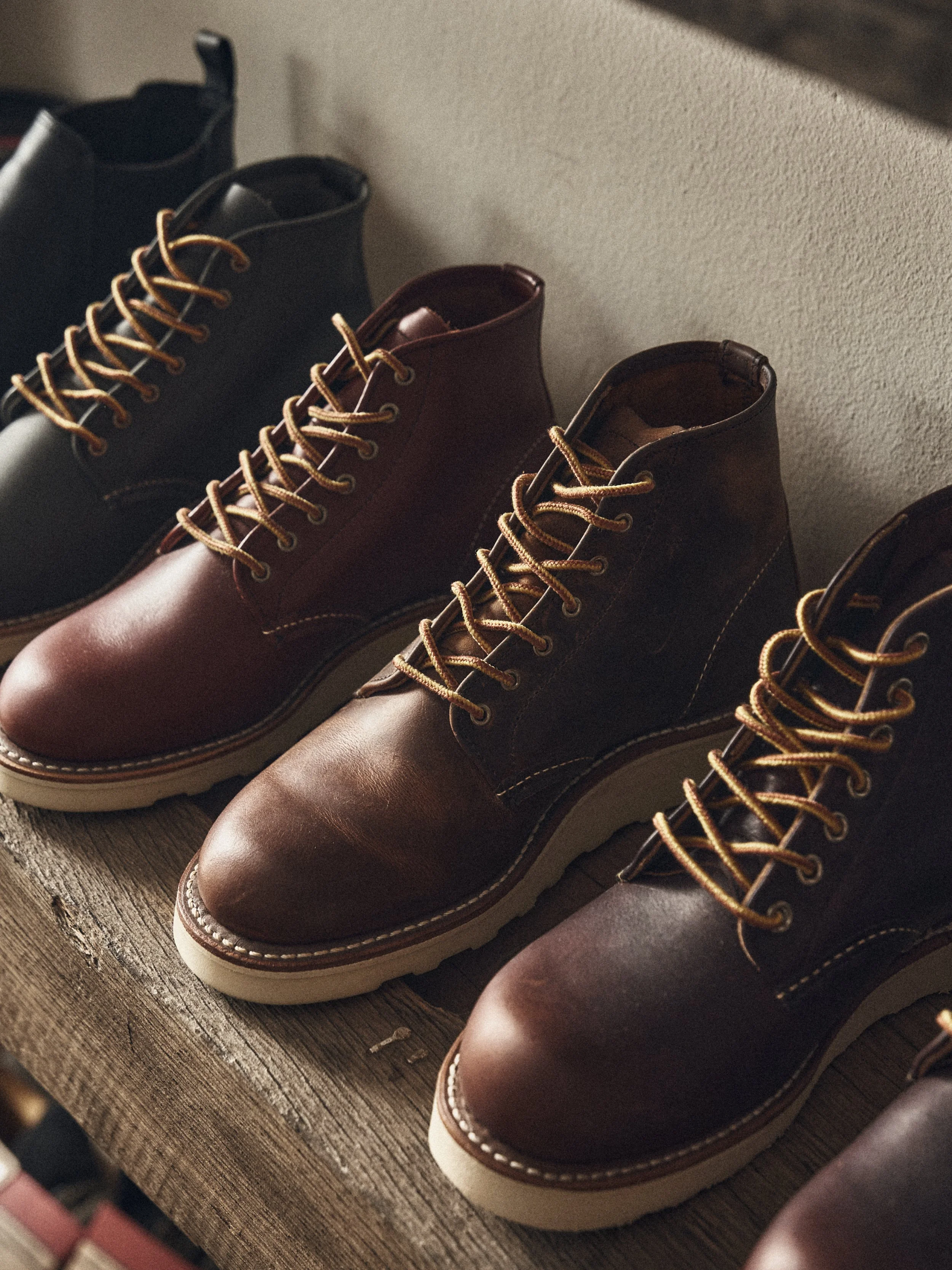 30_10_2023_Redwing2171.jpg
