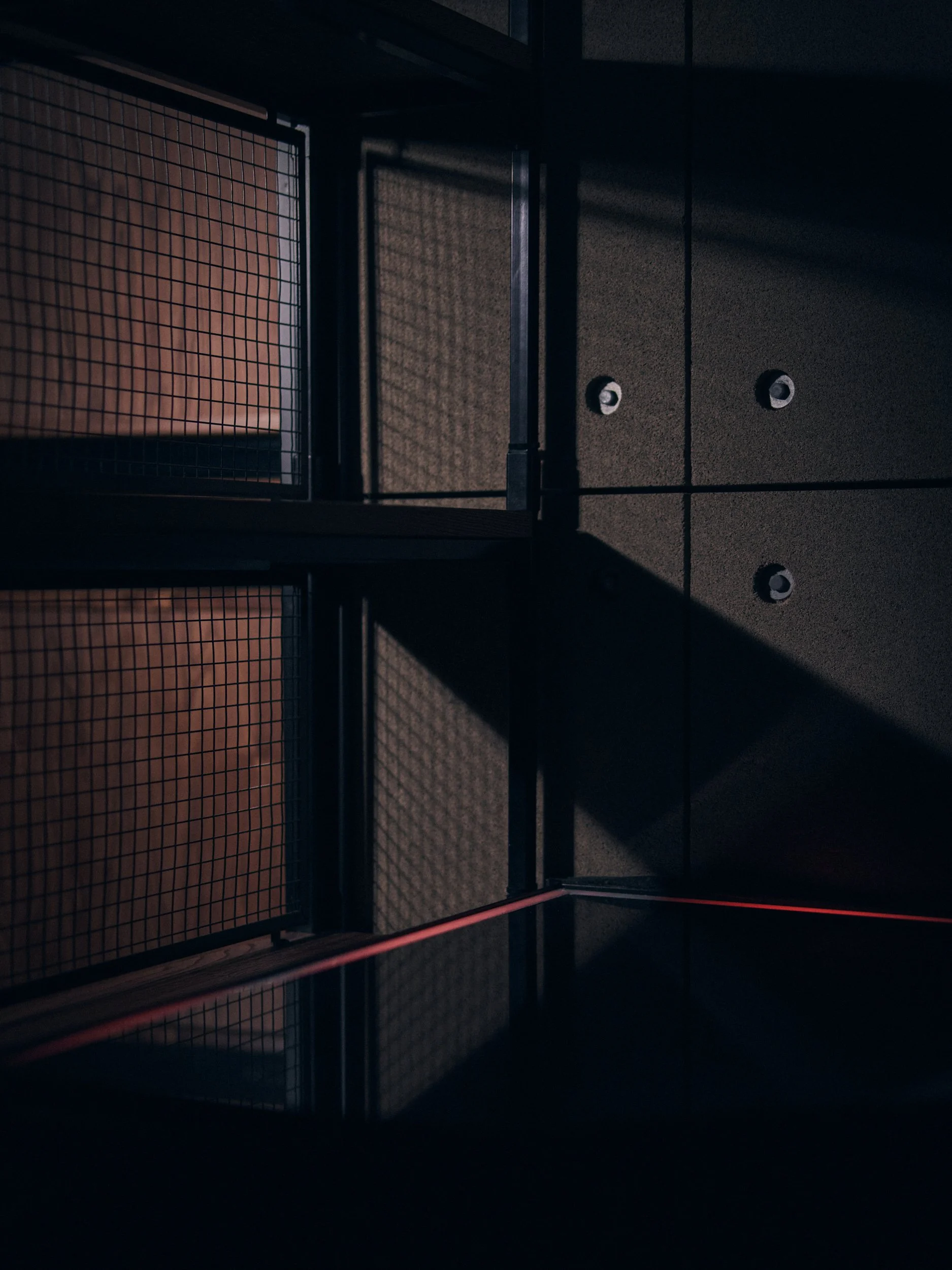Dimly lit indoor space with metal railing, wire mesh door, and carpeted floor, illuminated by a faint light source.
