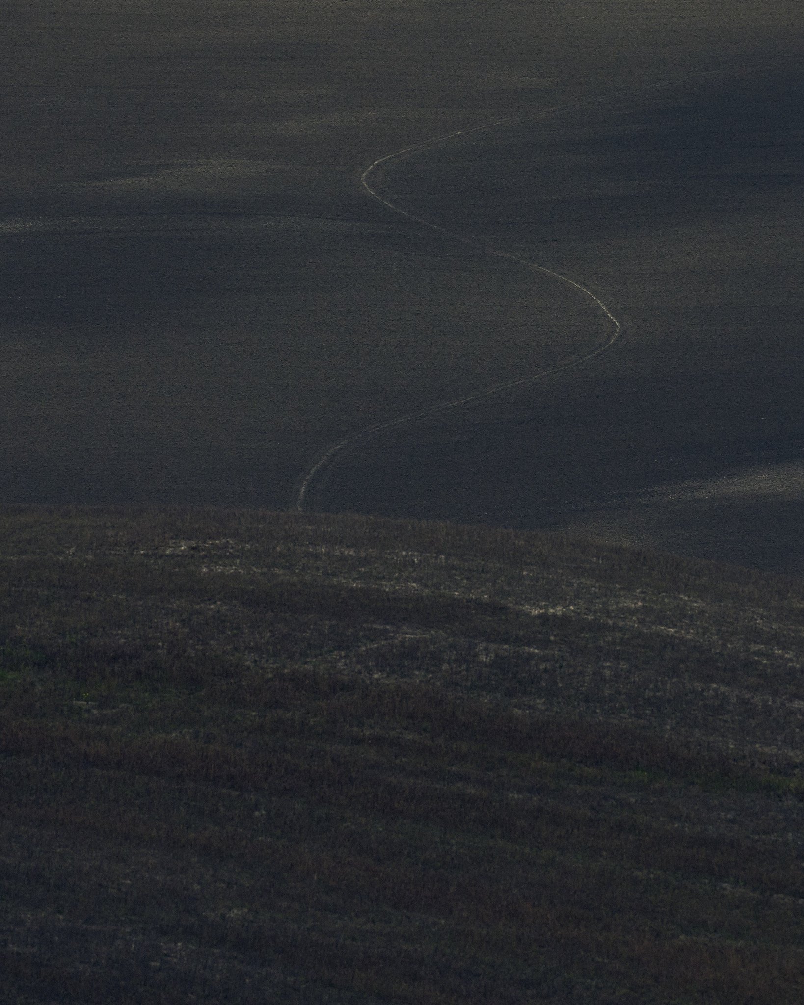 _DSC8605.jpg