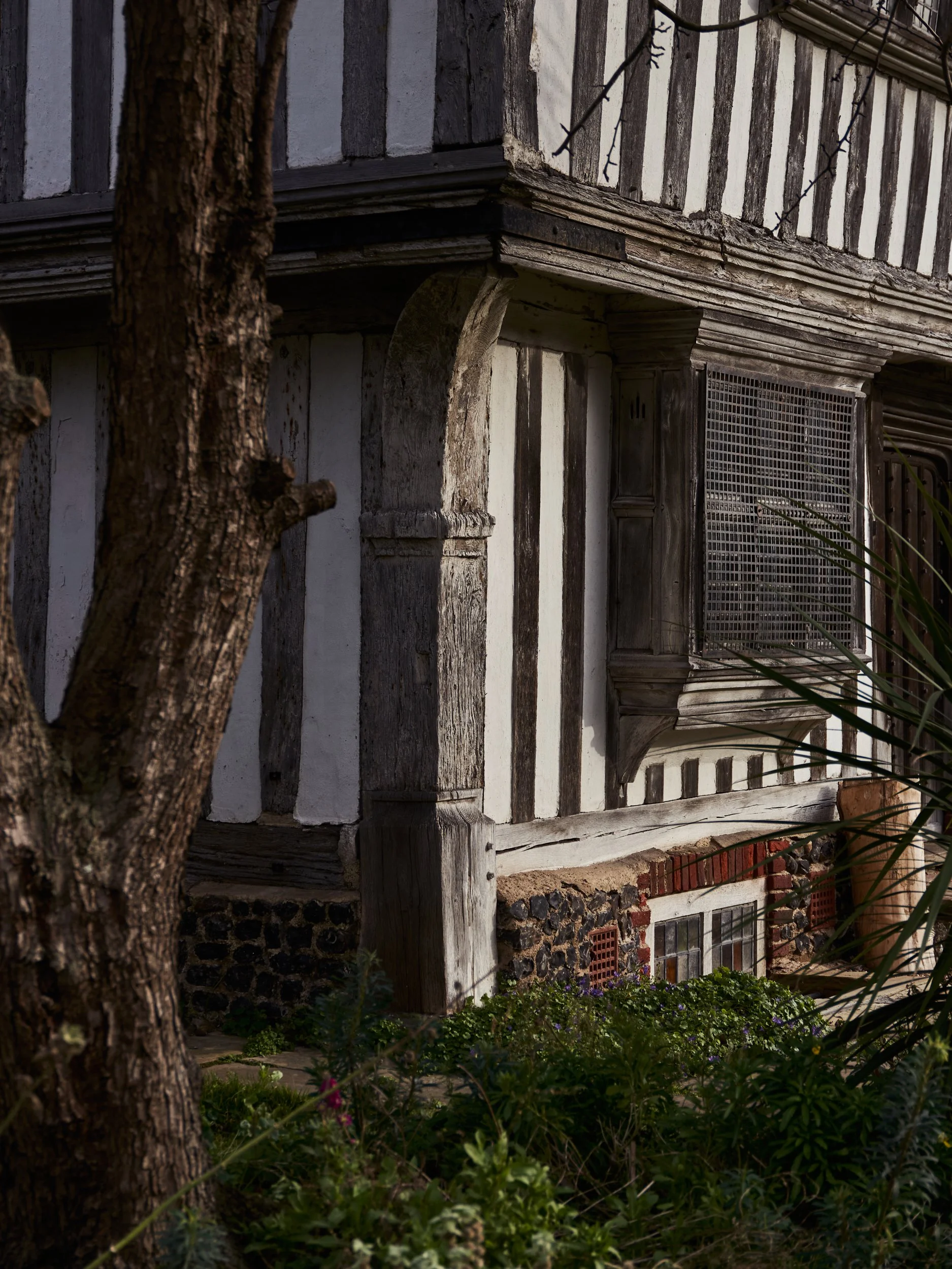 Close-up of a corner of an old, weathered wooden building with black and white vertical stripes, a small window with a metal grid, and a tree trunk in the foreground surrounded by green plants and purple flowers.