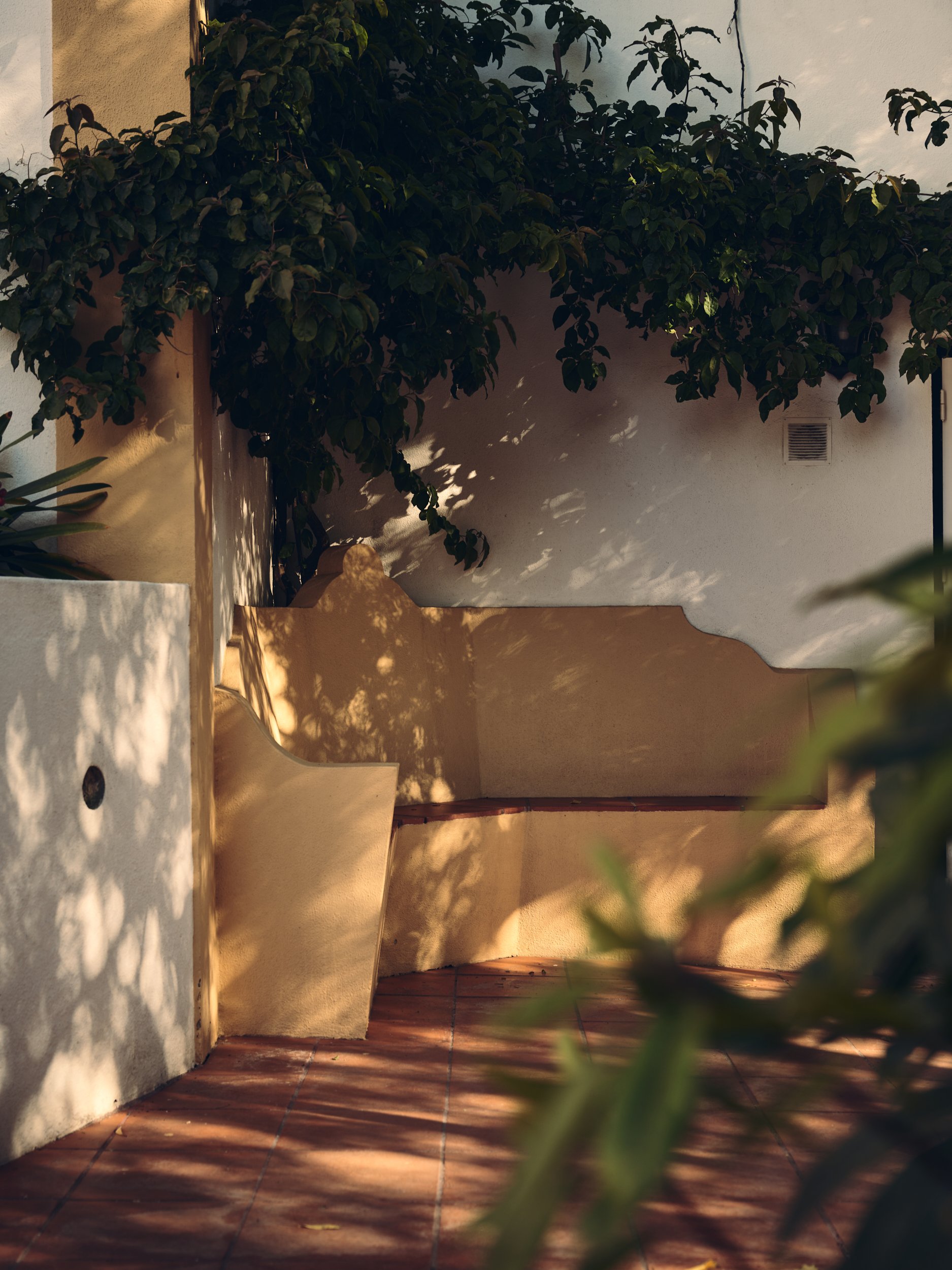 A courtyard with a white wall, a shrub with dark green leaves overgrowing, terracotta tile floor, and shadow patterns from sunlight.