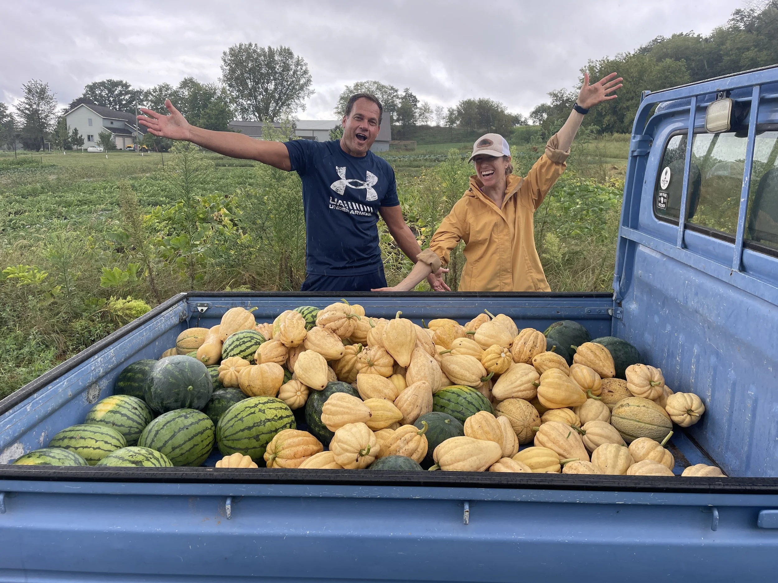 yr 4 melon:squash harvest.JPG
