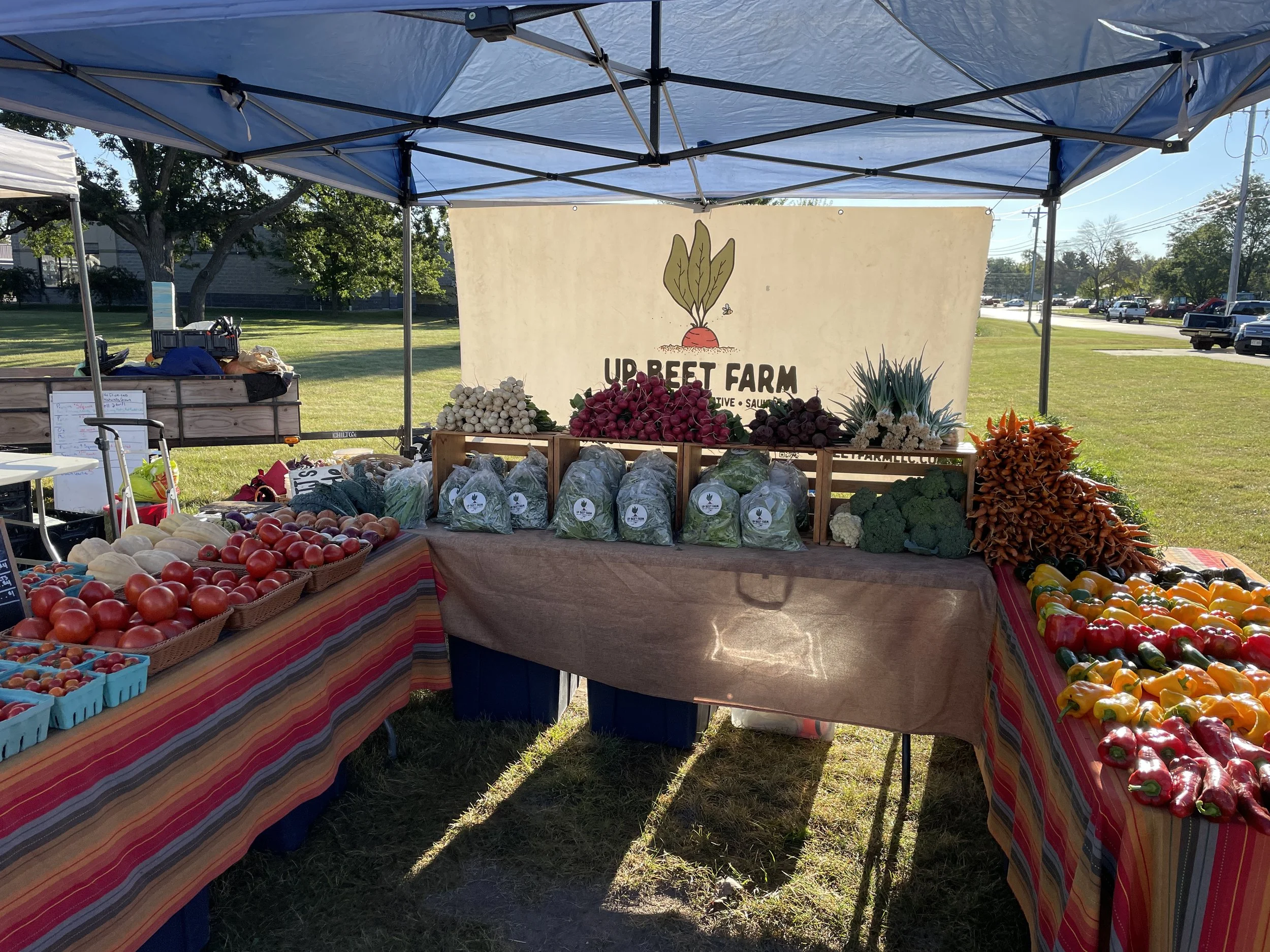 yr 4 market display.JPG