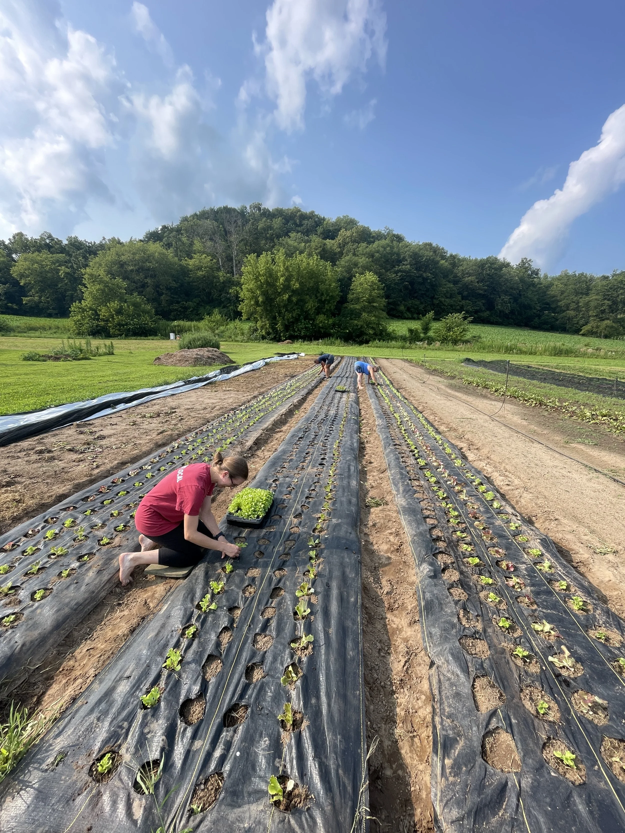 Farm crew_2.JPG