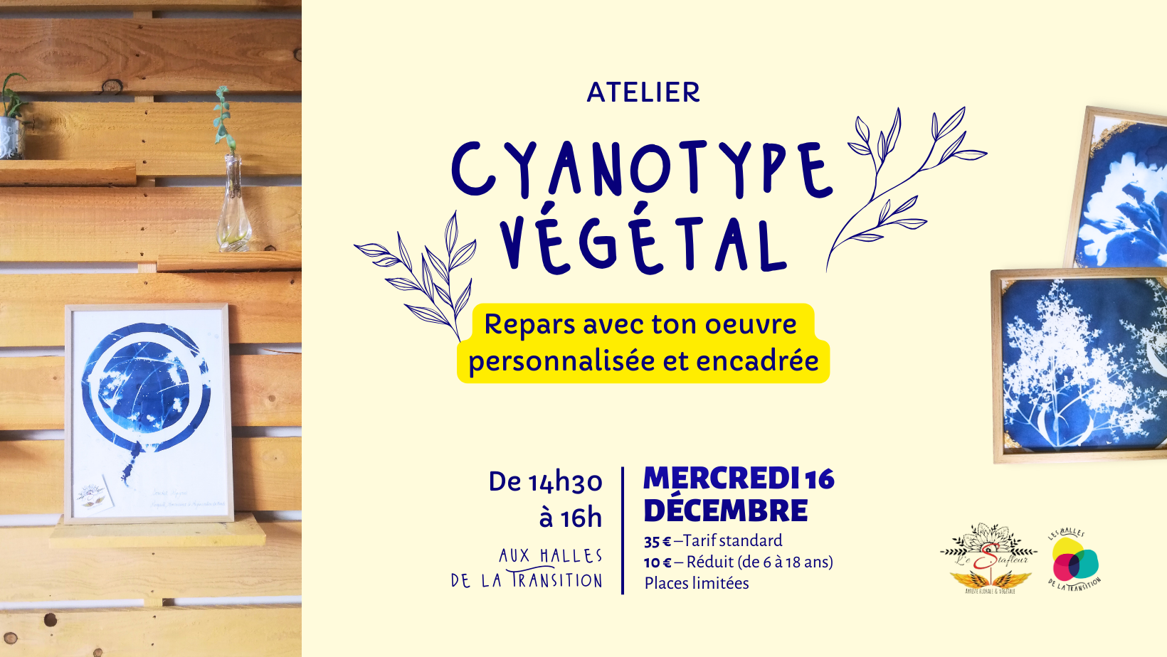 🌸 Atelier Cyanotype végétal 