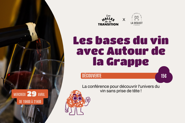 🍇 Autour de la Grappe : les bases du vin