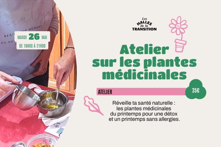 🌿 Atelier plantes médicinales du printemps