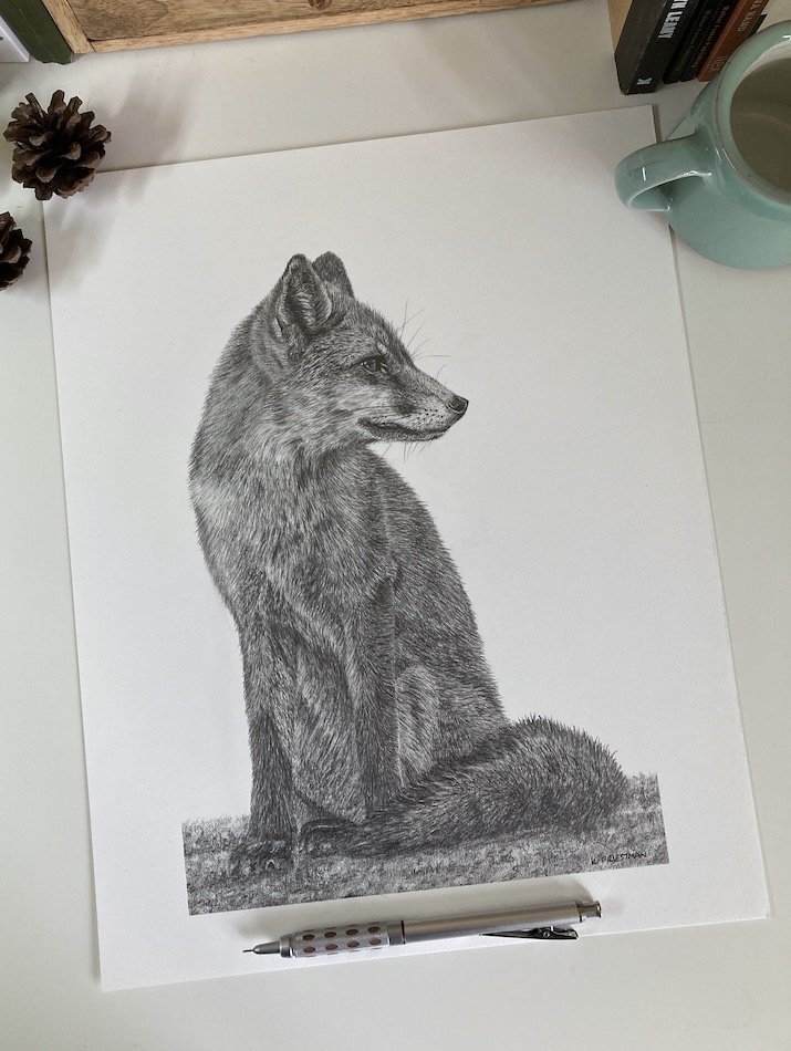 Best paper for graphite drawing — Kate Priestman Art