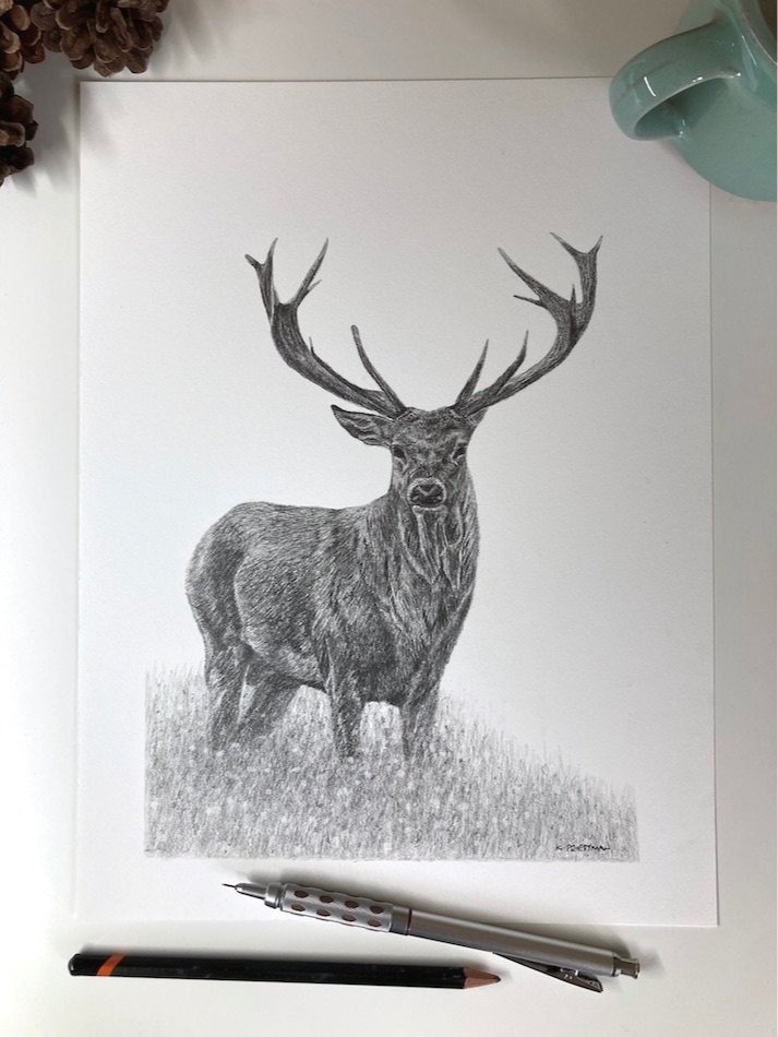 Graphite drawing – tools of the trade — Kate Priestman Art
