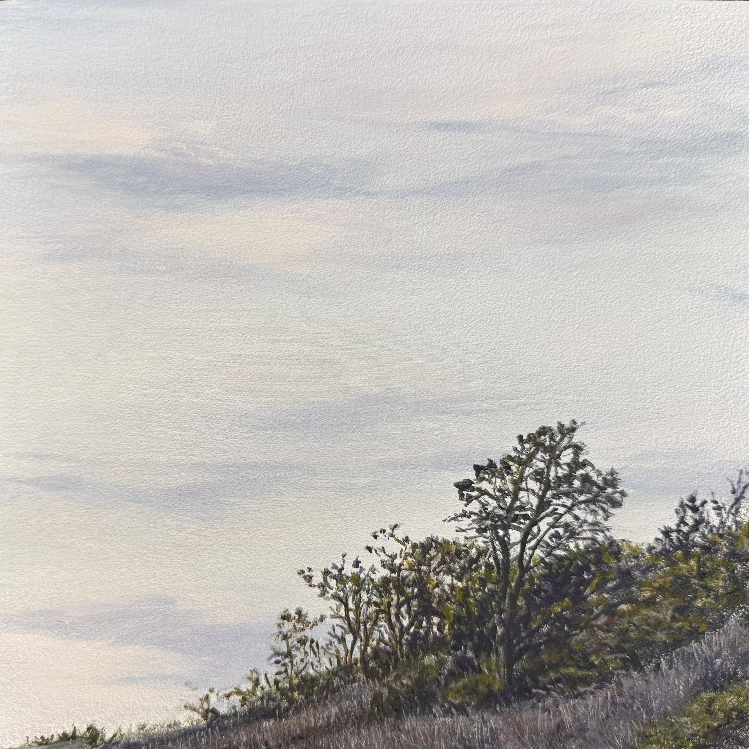 Dune Trees & Sky, oil on panel, 8"x8", $650