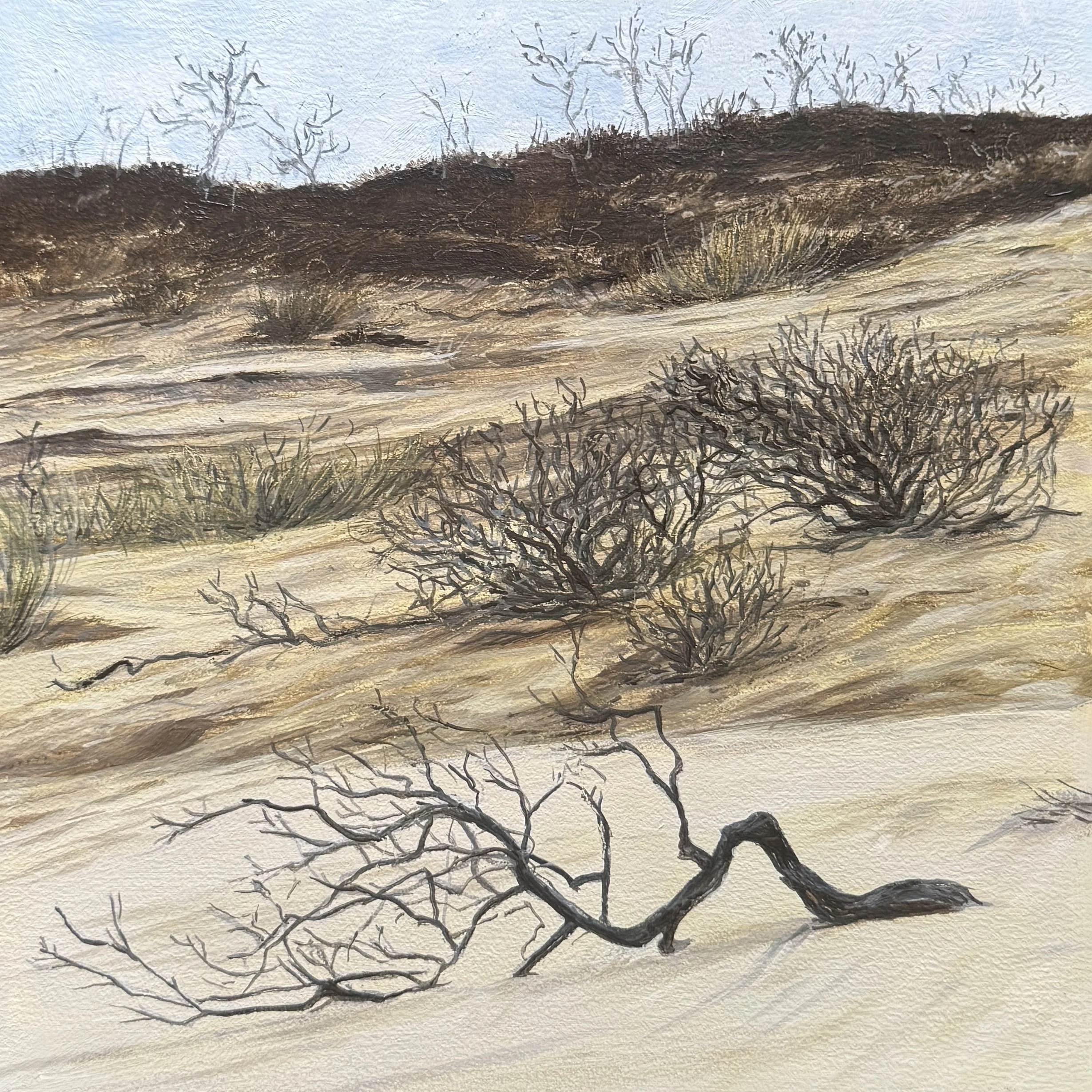 Fallen Soldier, 8"x8"