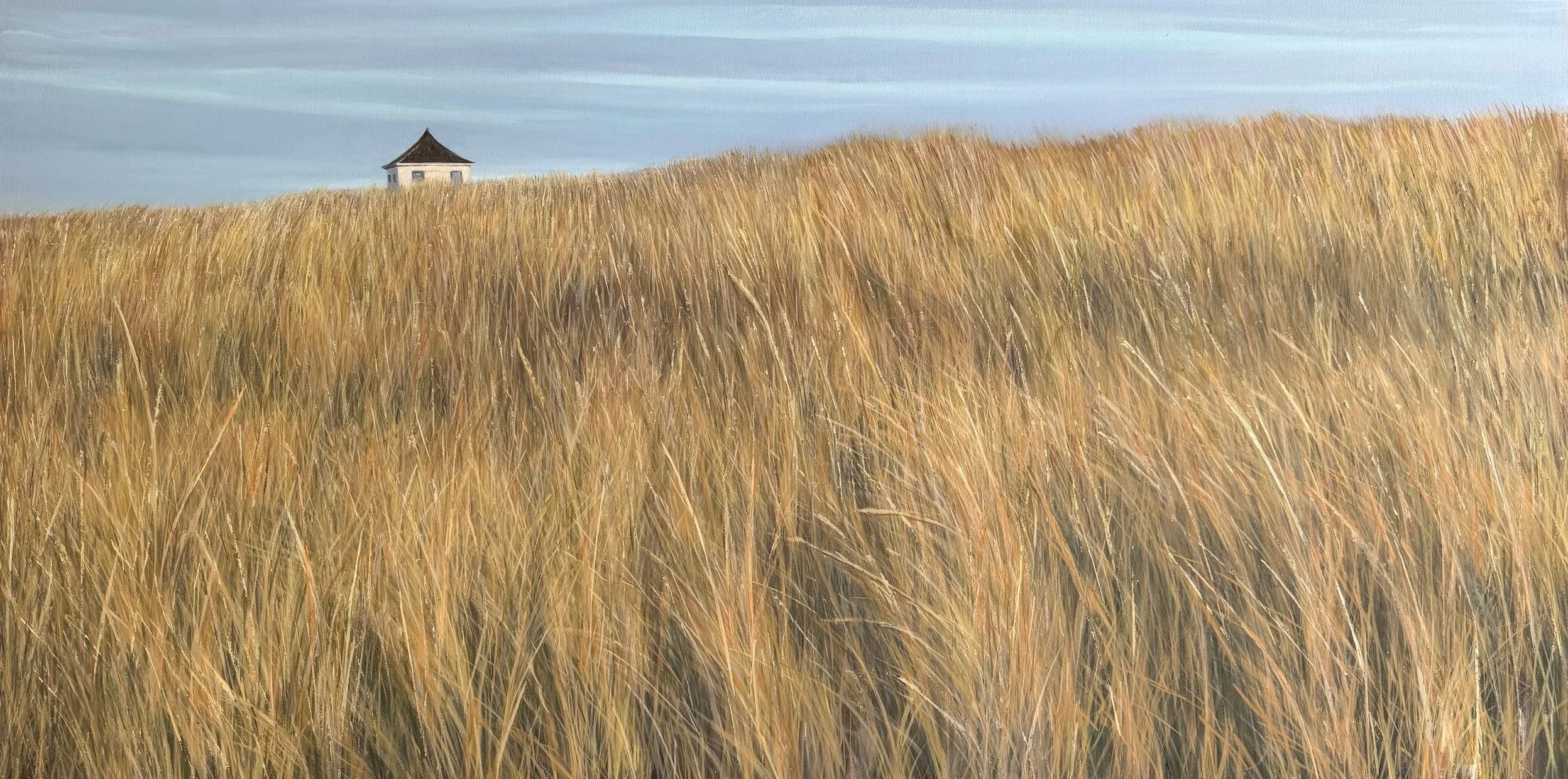 Race Point, 20"x40"