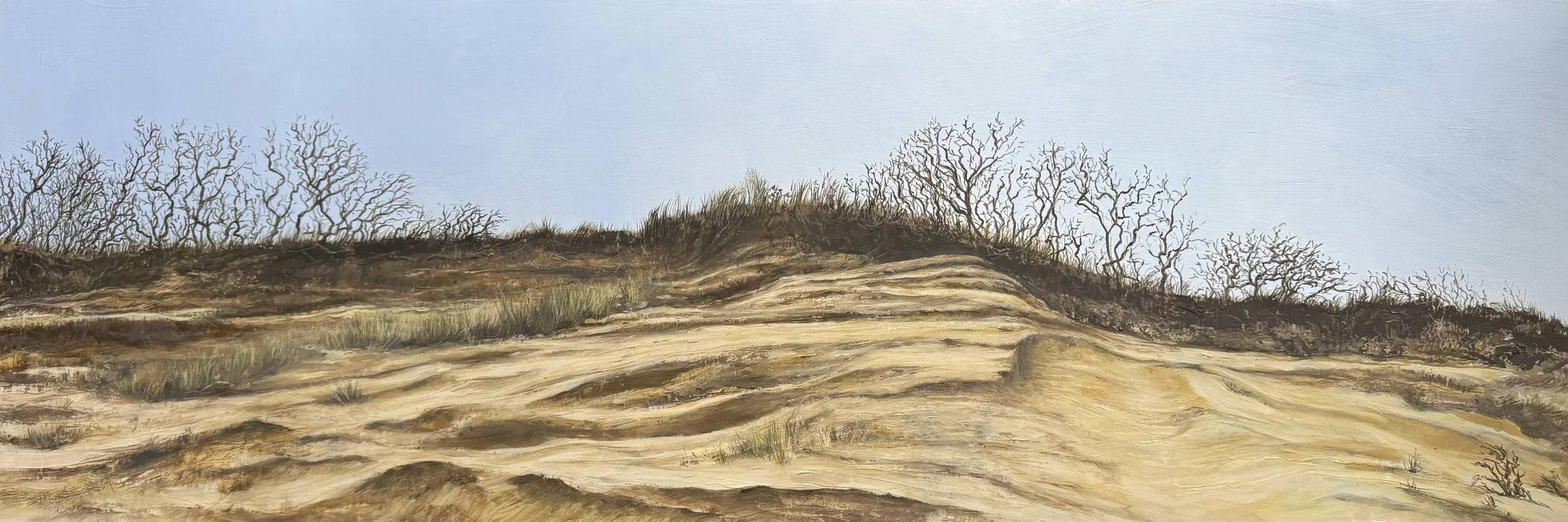 Holding the Line, 12"x36"