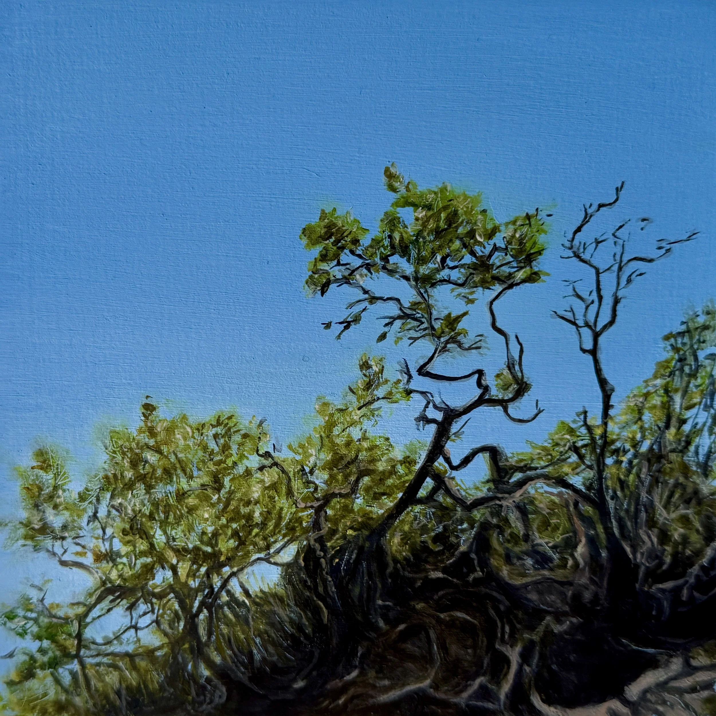 Dune Crest, oil on panel, 6"x6"