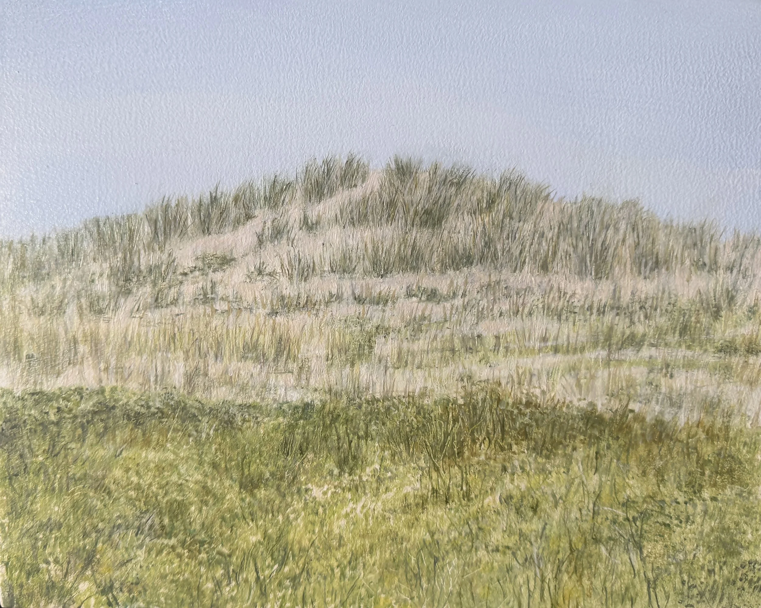 Spring Dune, 8"x10", oil on panel