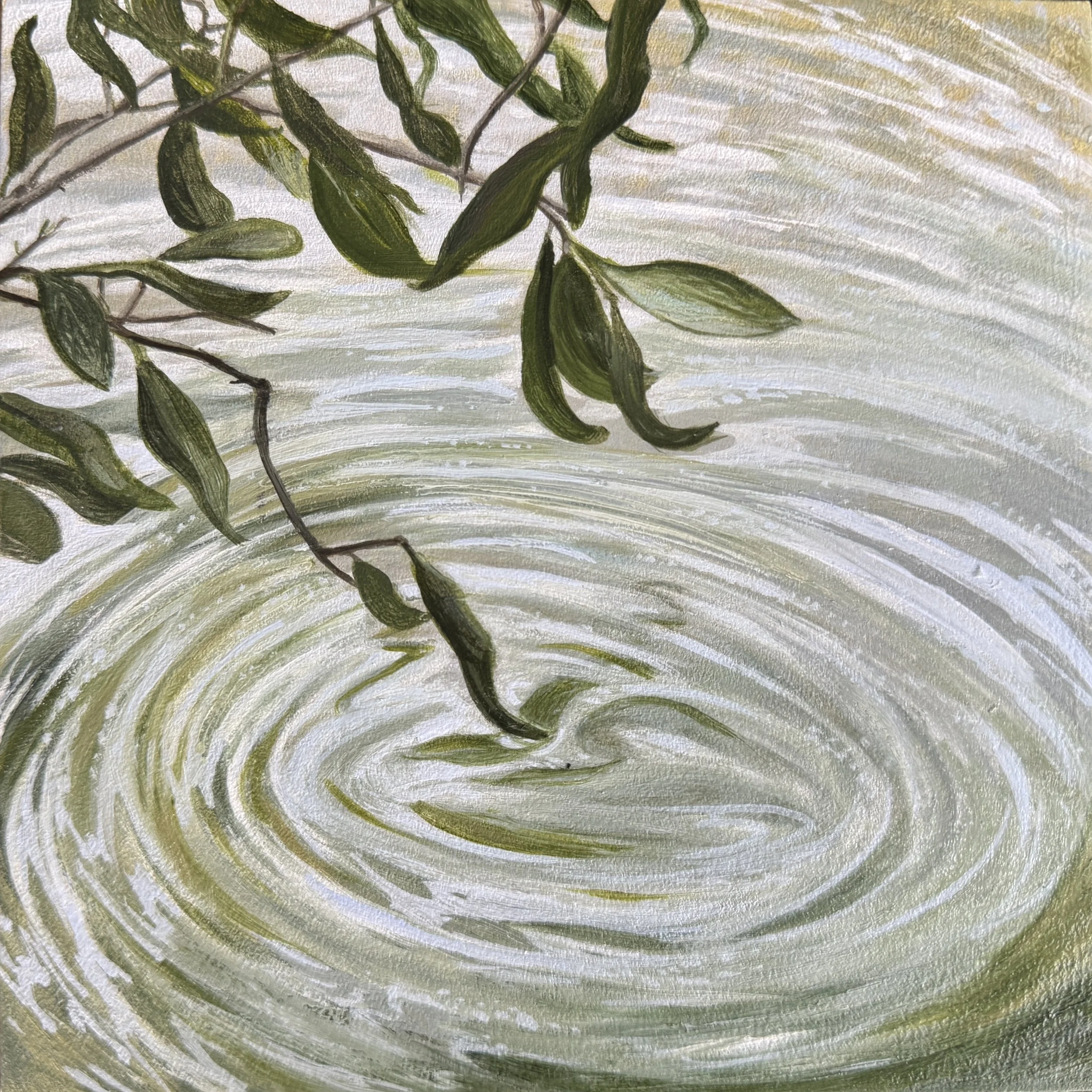 Pond Ripples, oil on panel, 6"x6", $450