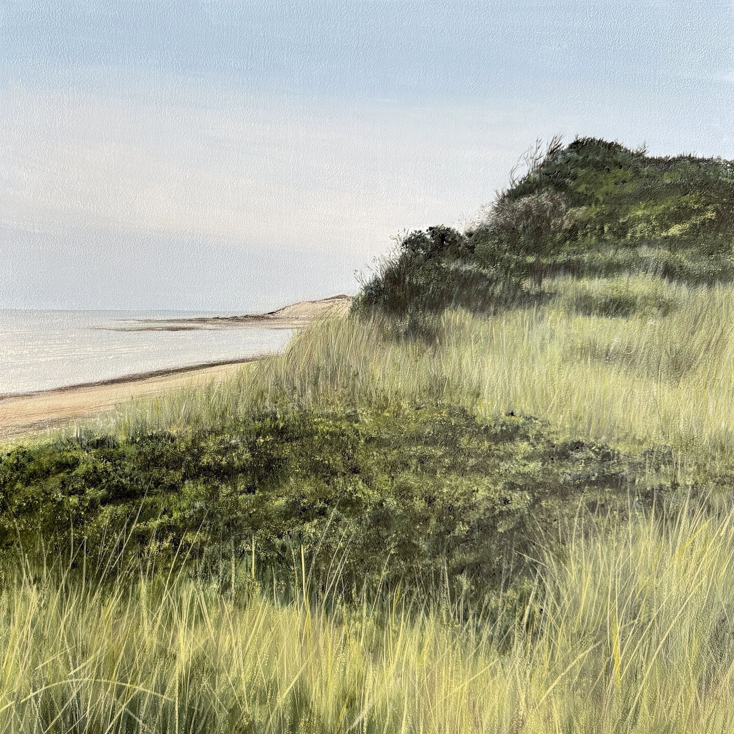 Great Island Dunescape, oil on panel, !8"x18", $2,200