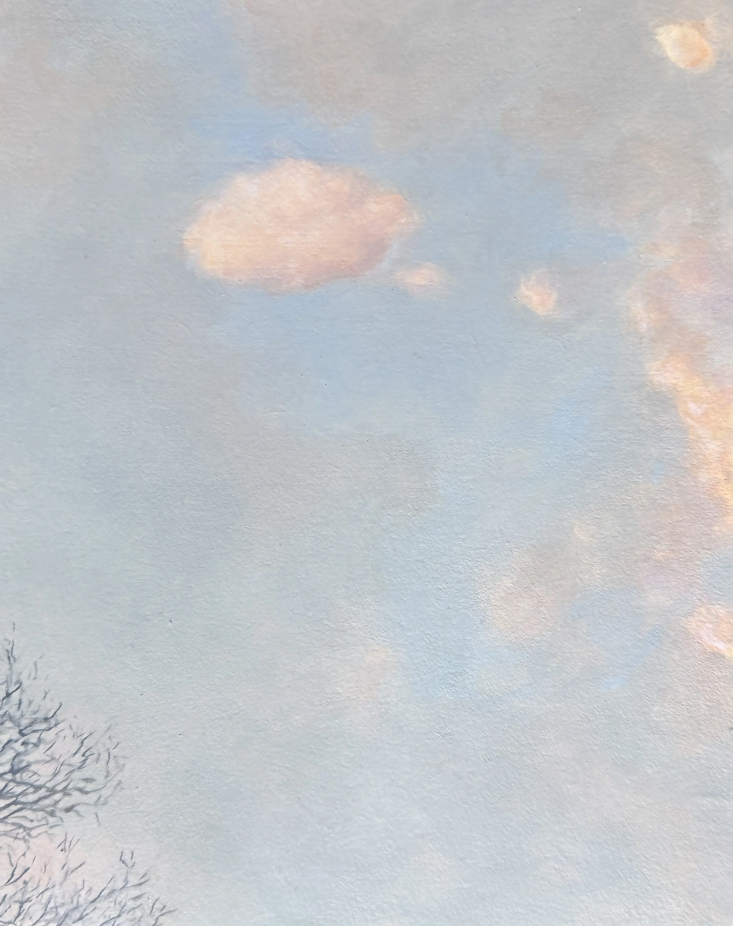 Pink Fluff, 10"x8", $750