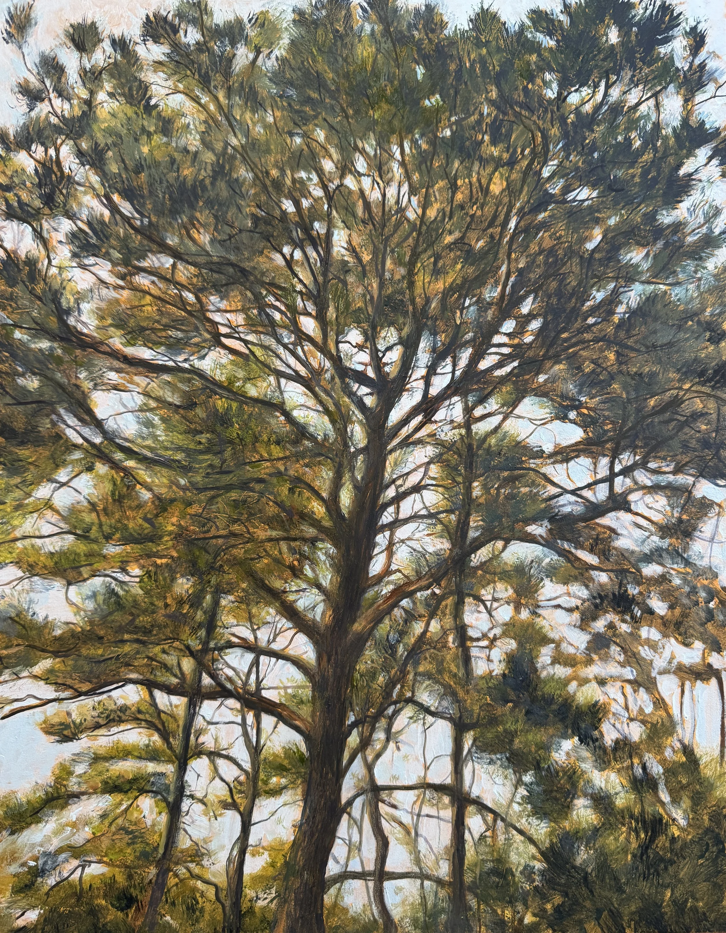 Watching, oil on panel, 18"x14", $1,950