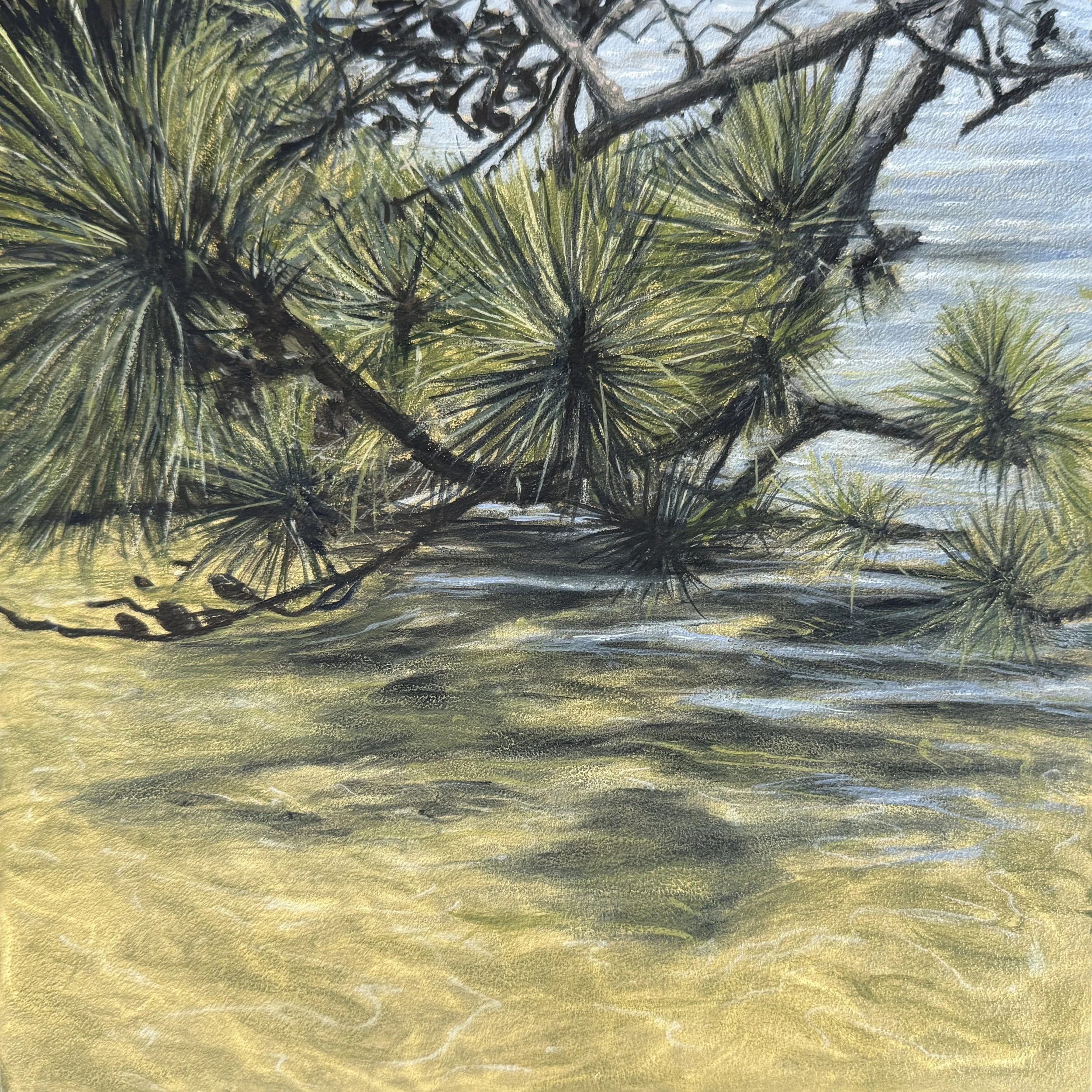 Pine Branch at the Sluiceway, oil on panel, 8"x8"