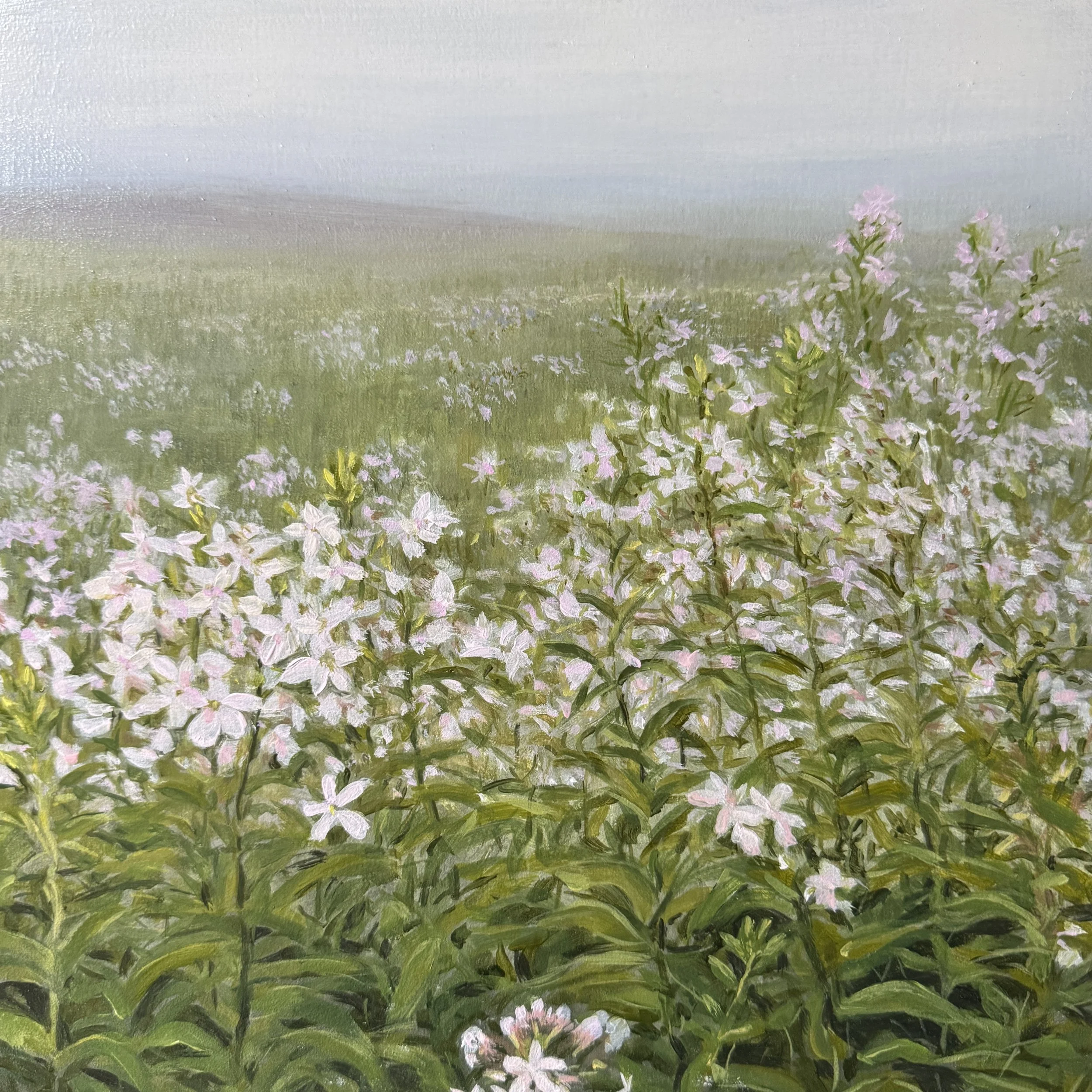 Flowers and Fog, oil on panel, 12"x12", $800