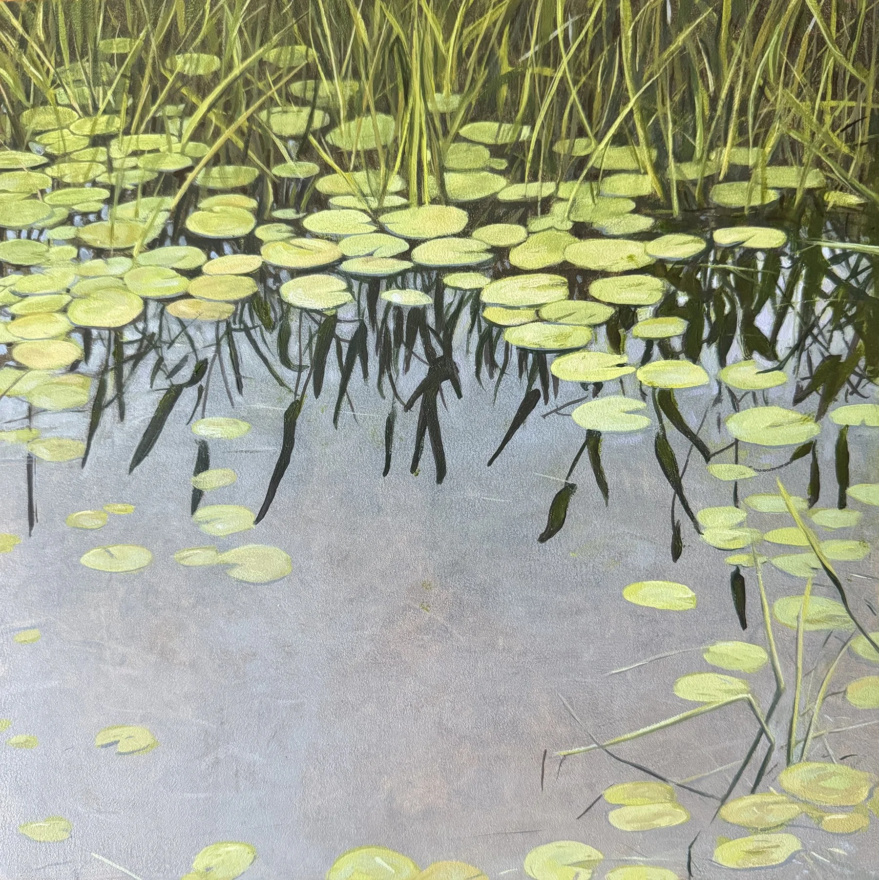 Pond Lilies, 12"x12", $950