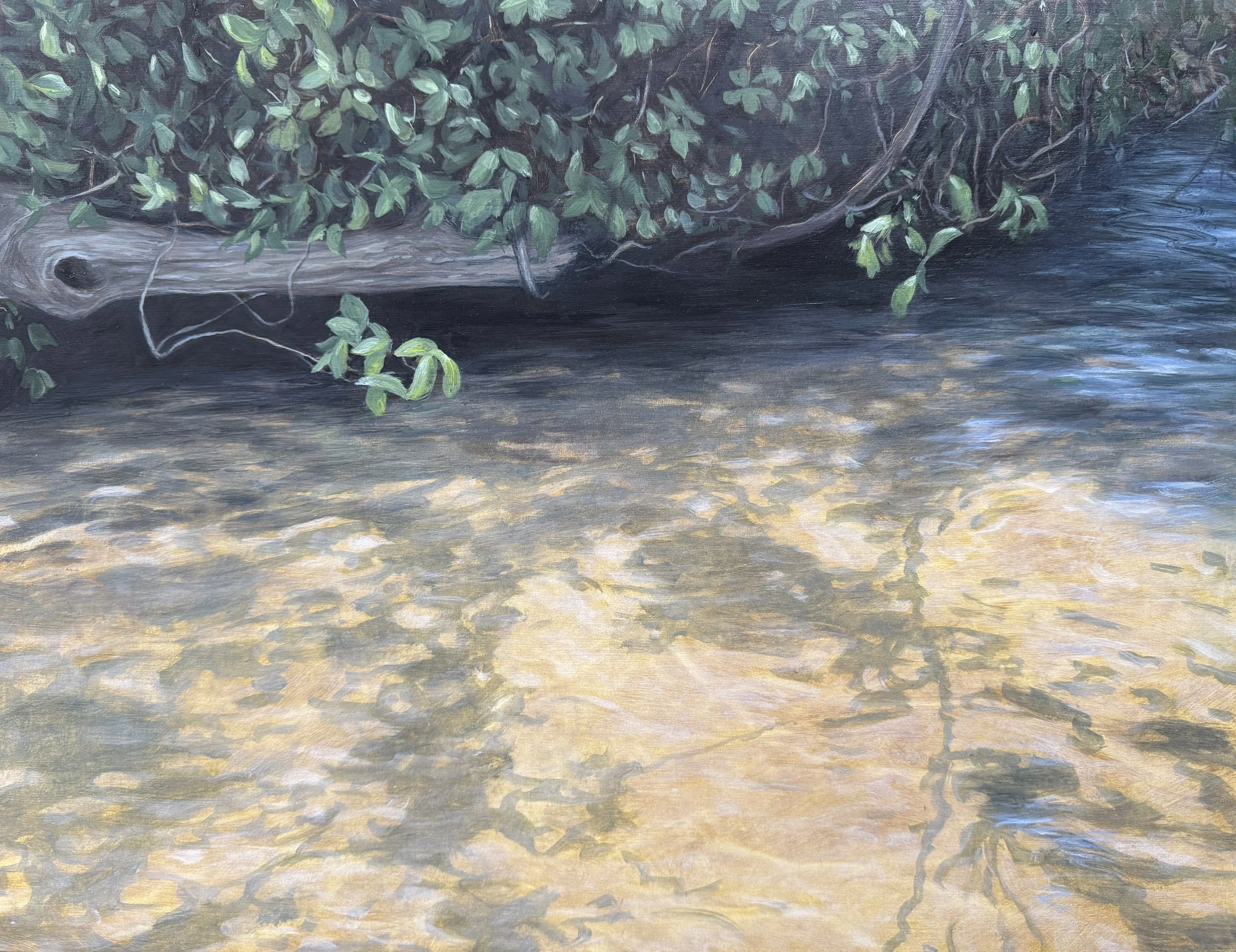 Sluiceway Moment, 14"x18"