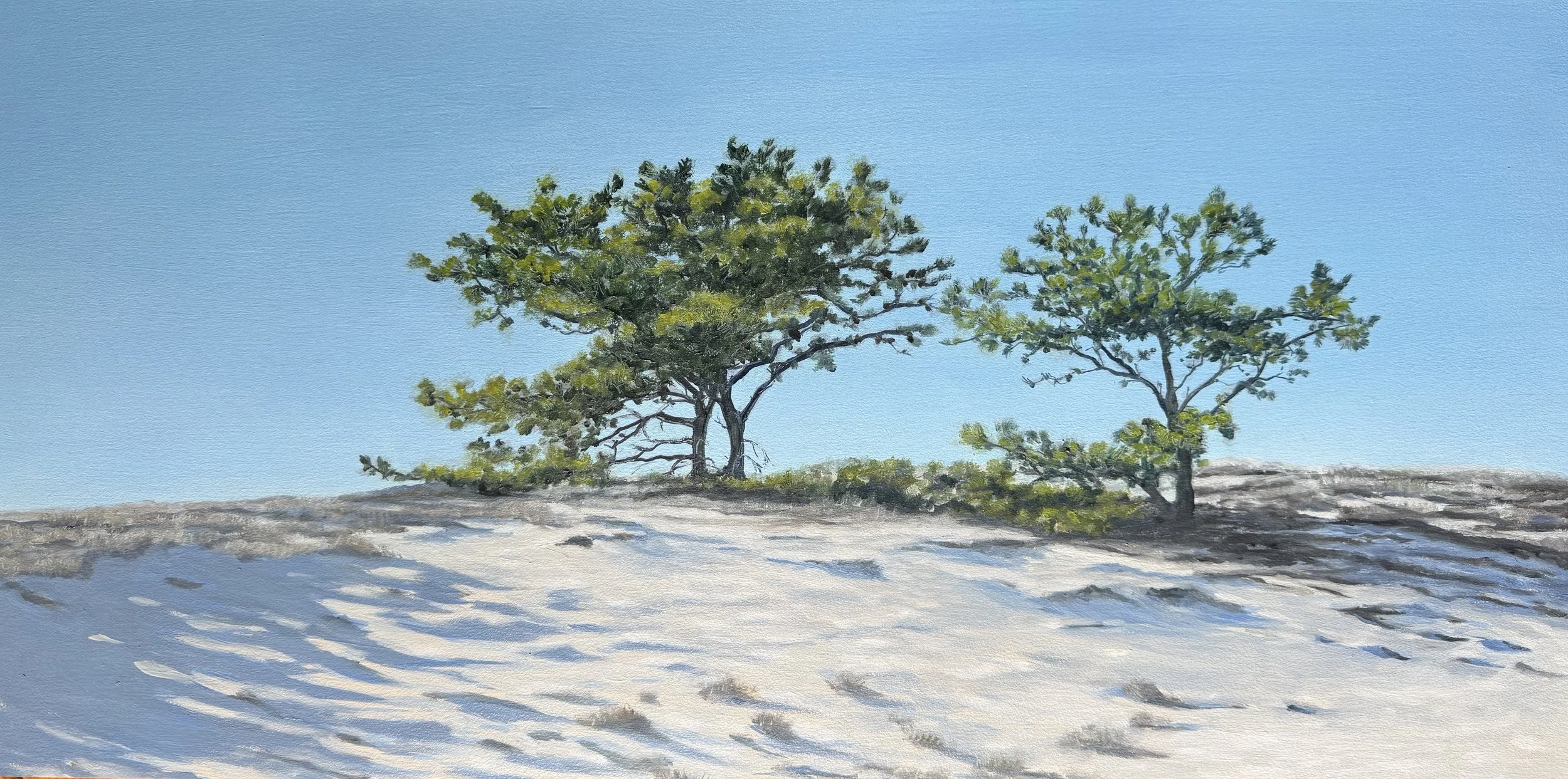 Dune Watchers, 12"x24"