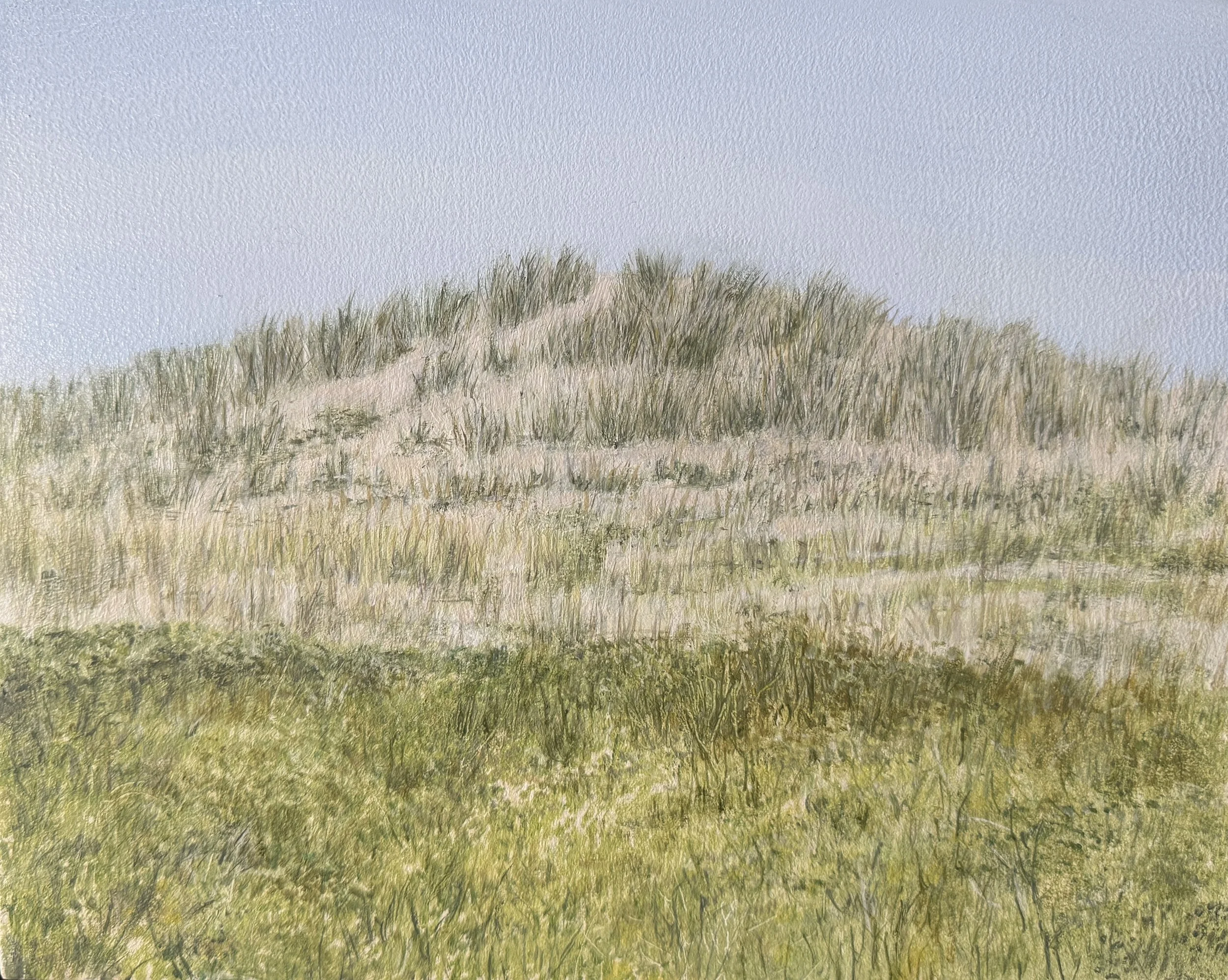 Spring Dune, 6"x8", oil on panel, $550