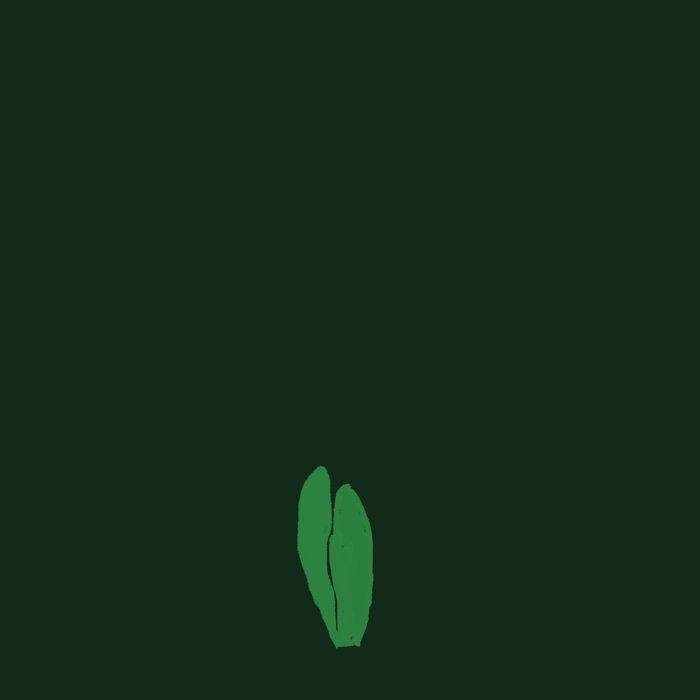 Tulip.gif