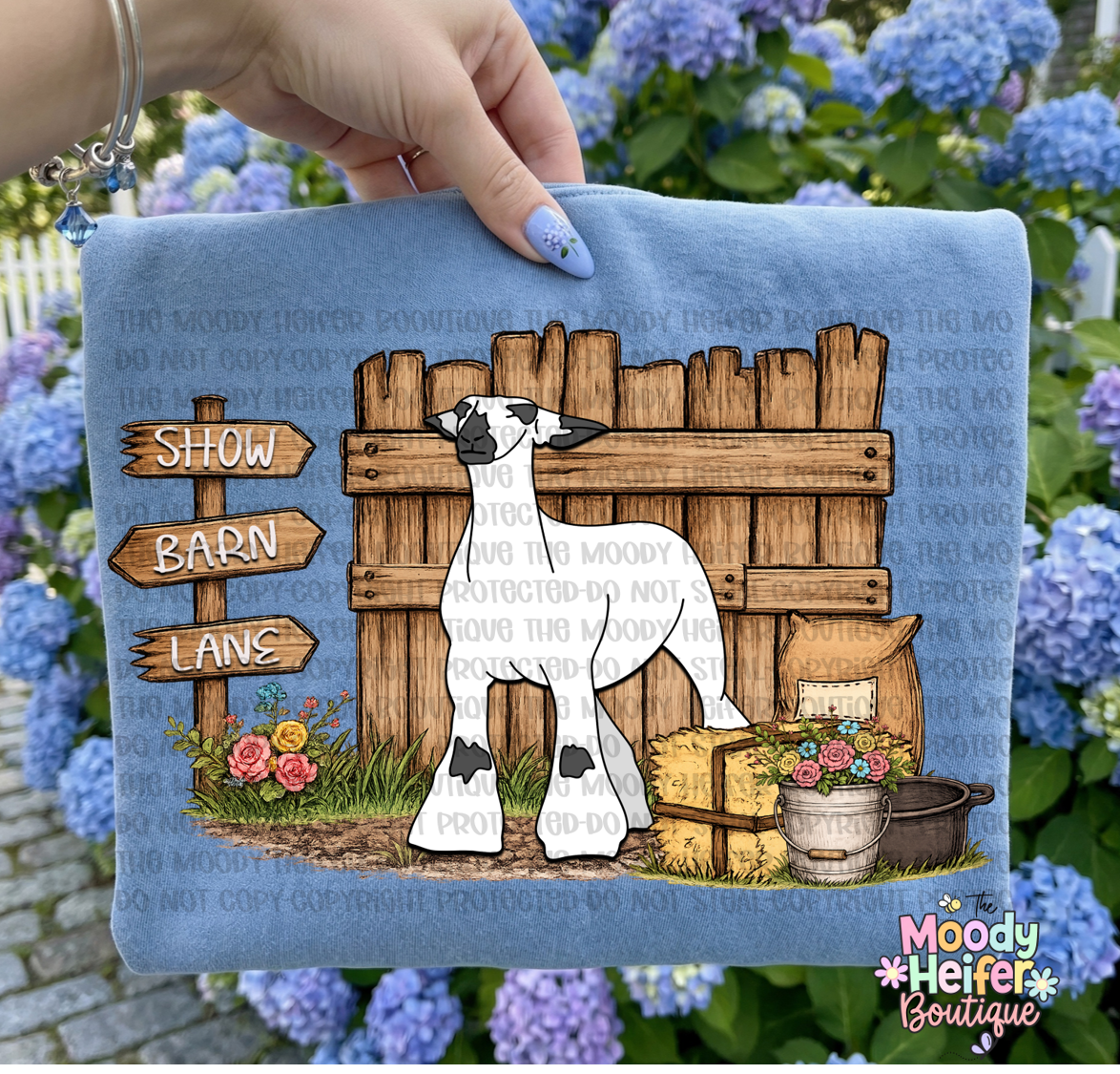 show barn lane lamb.png
