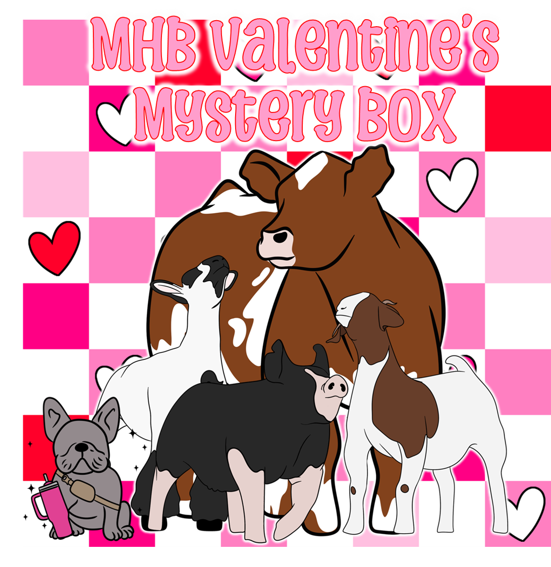 Valentines Mystery Box